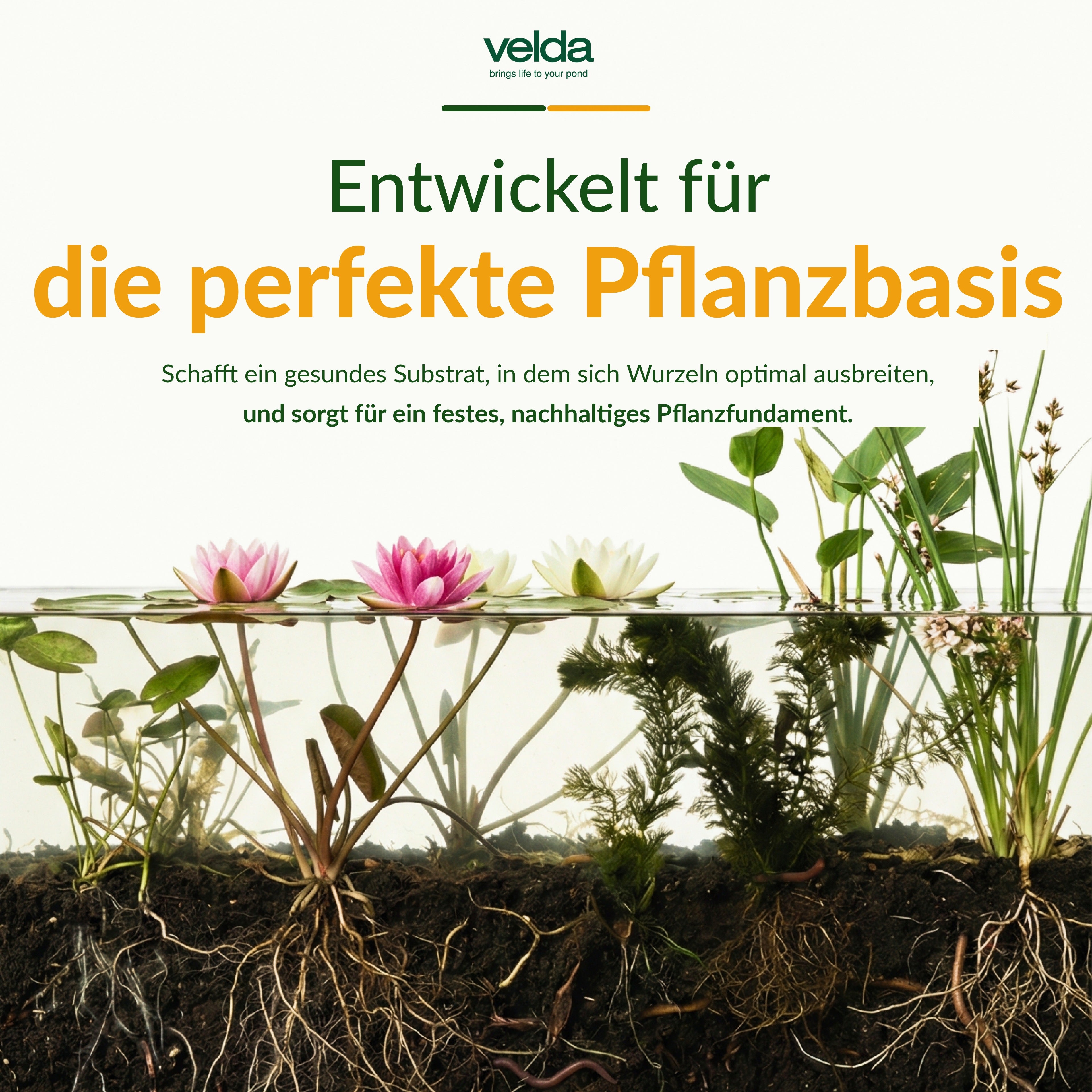 Velda Produktbild (DE)