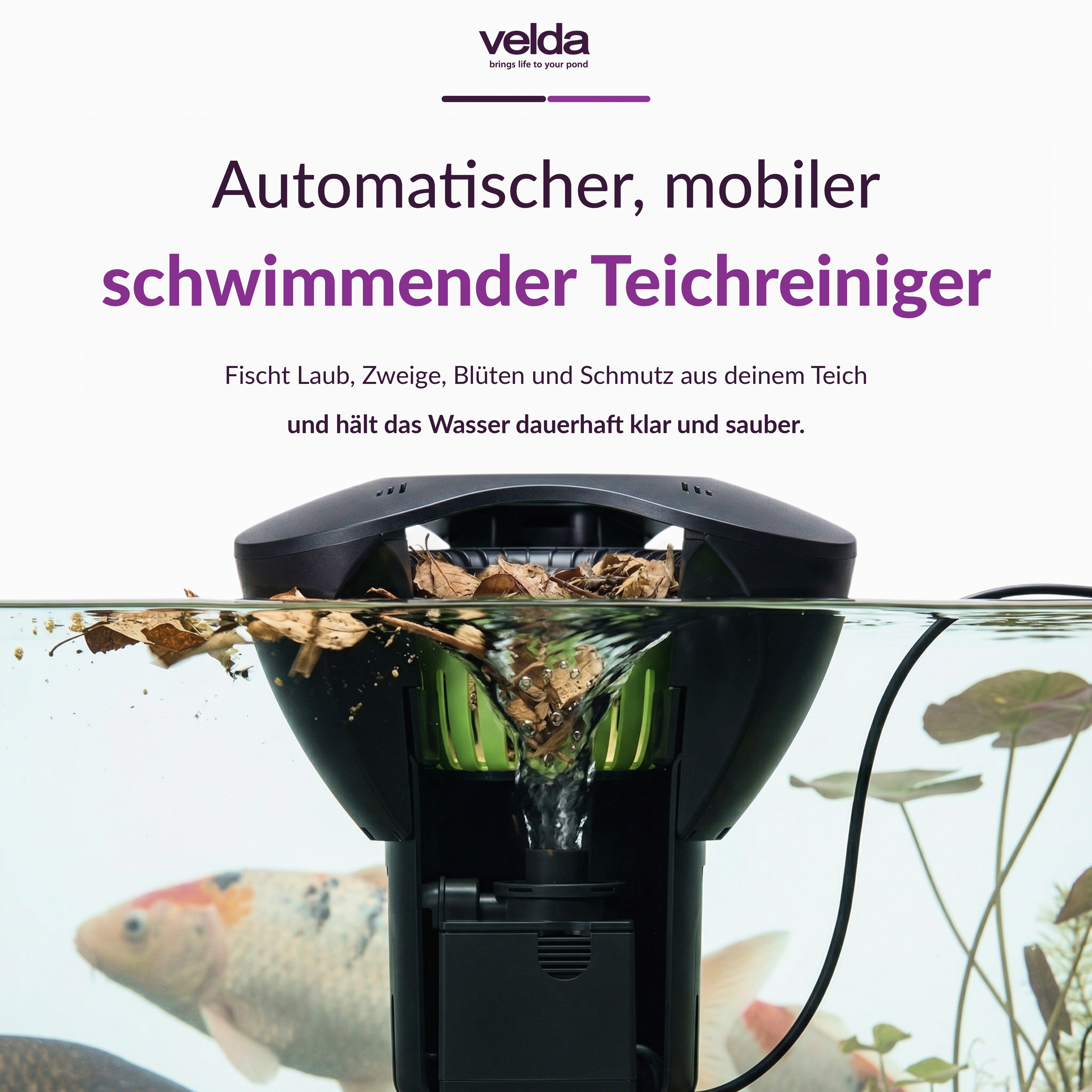 Velda Produktbild (DE)