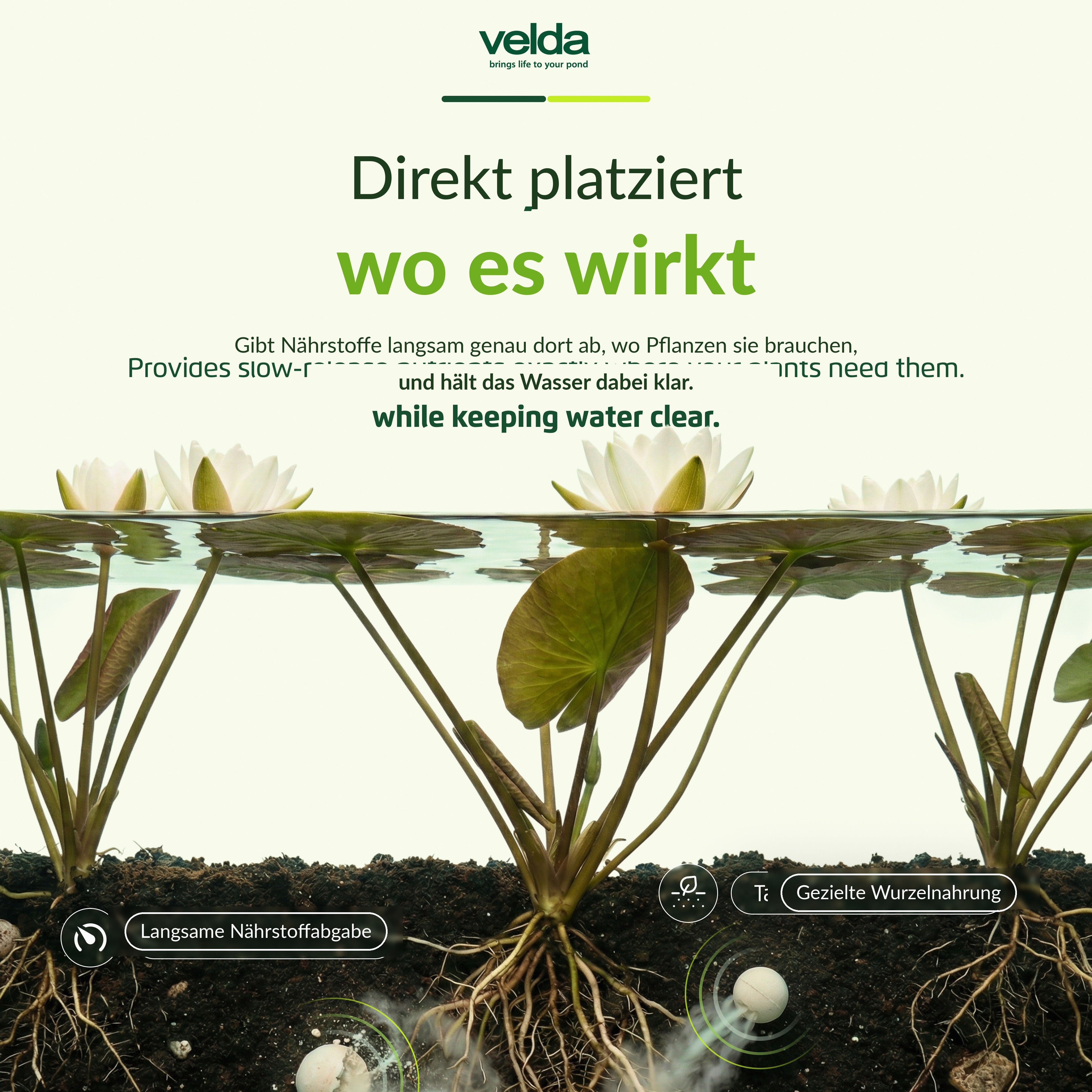 Velda Produktbild (DE)