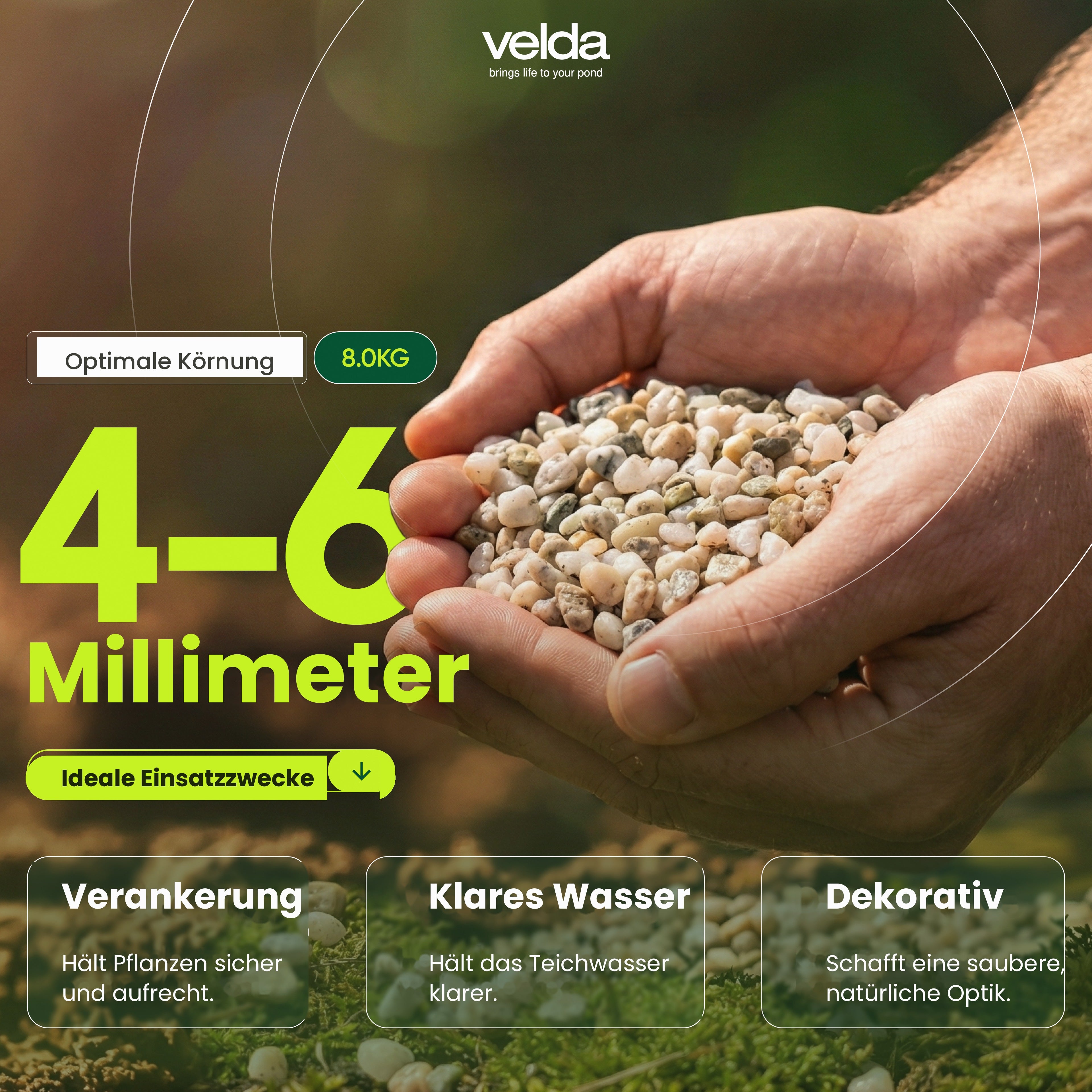 Velda Produktbild (DE)