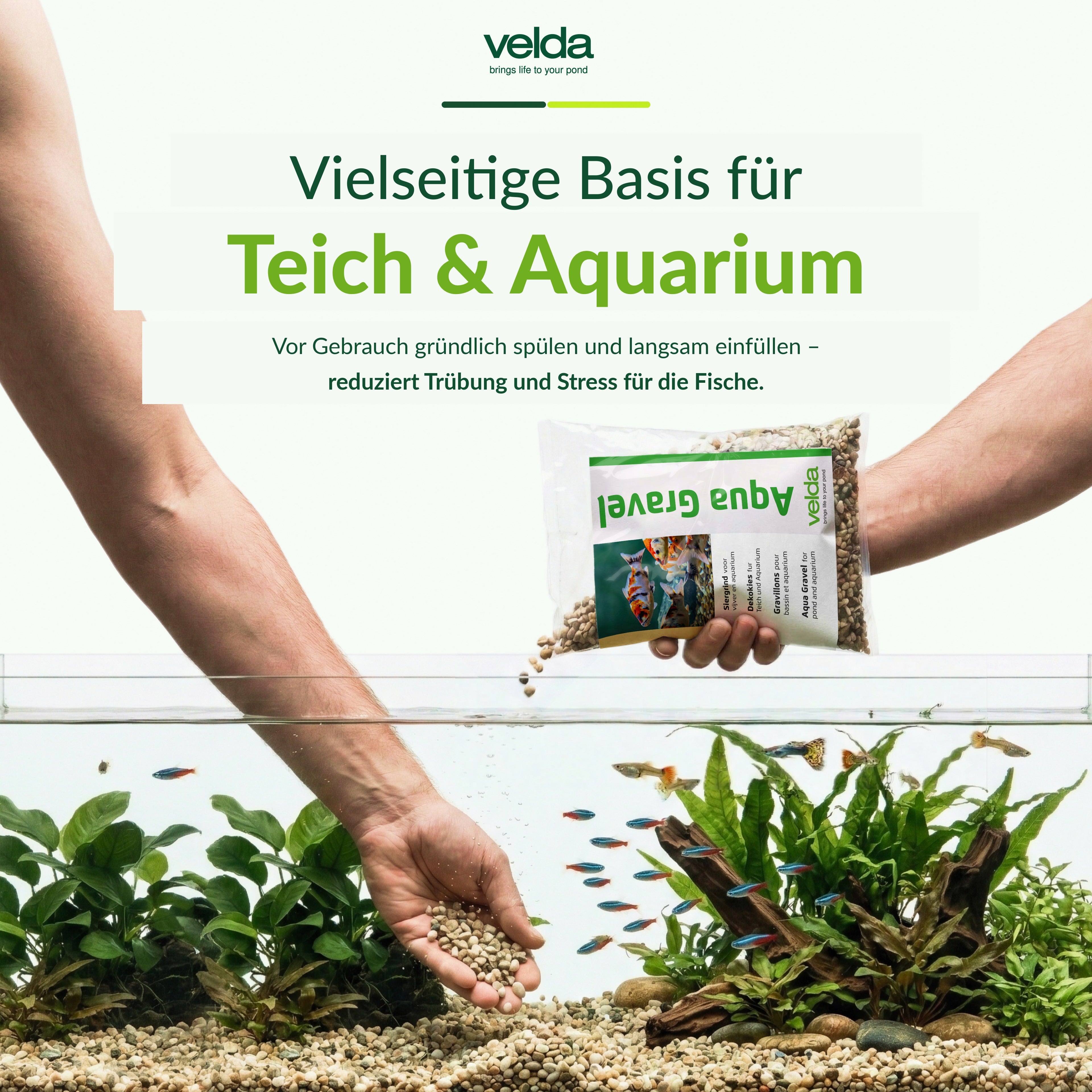 Velda Produktbild (DE)