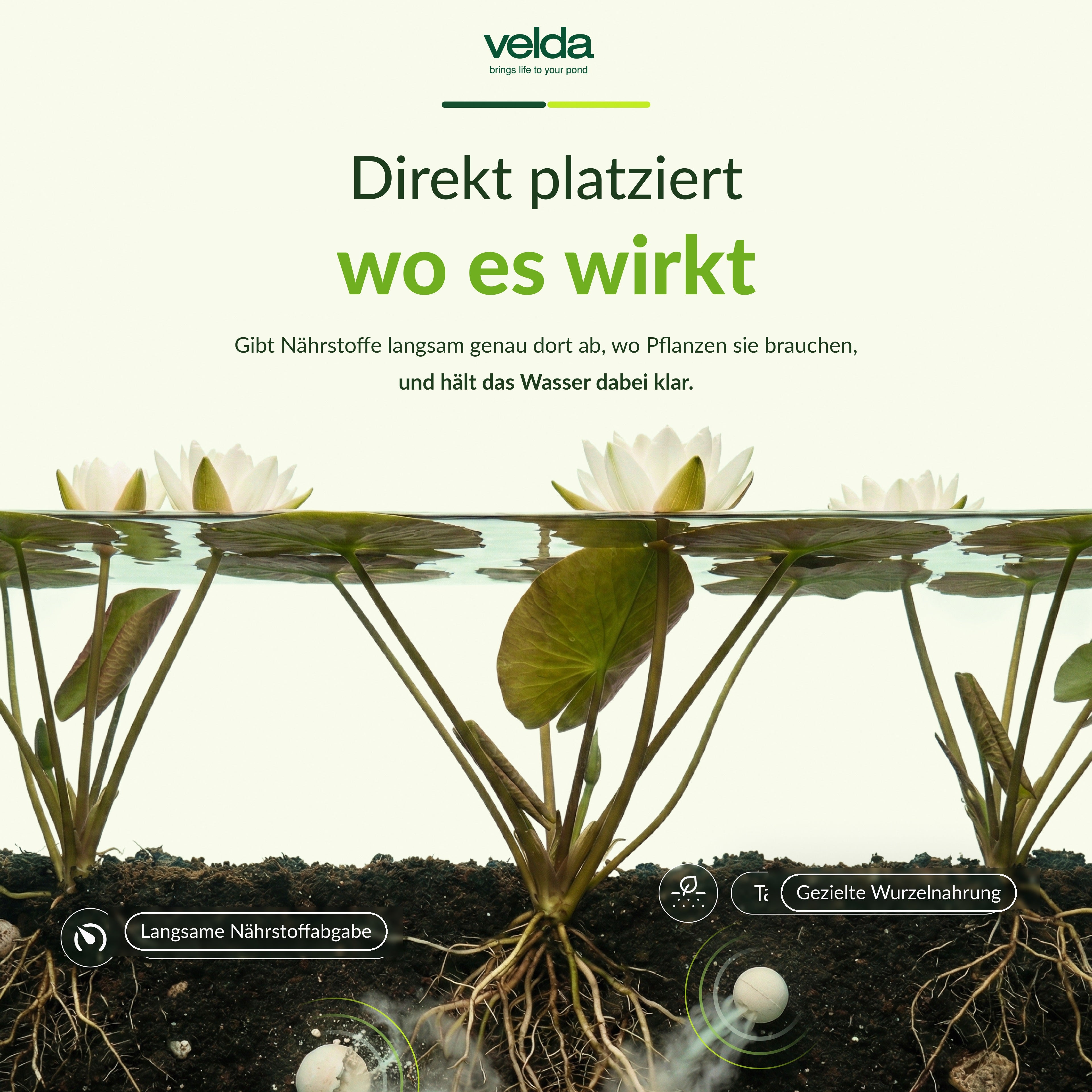 Velda Produktbild (DE)