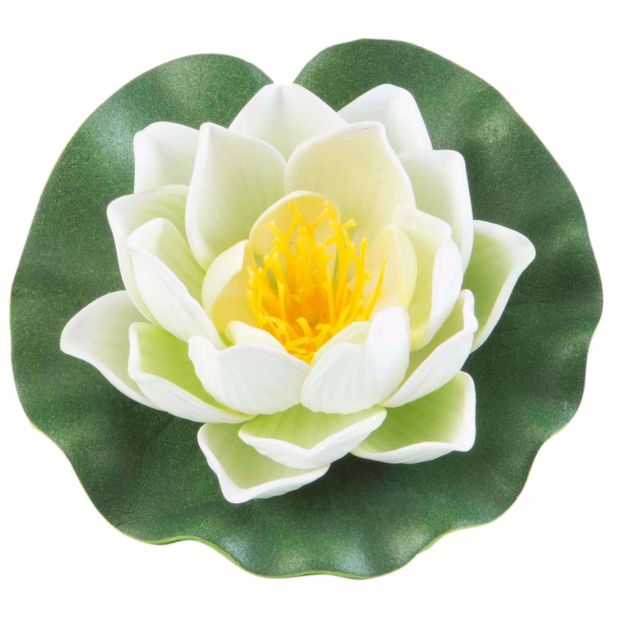 Lotus foam yellow