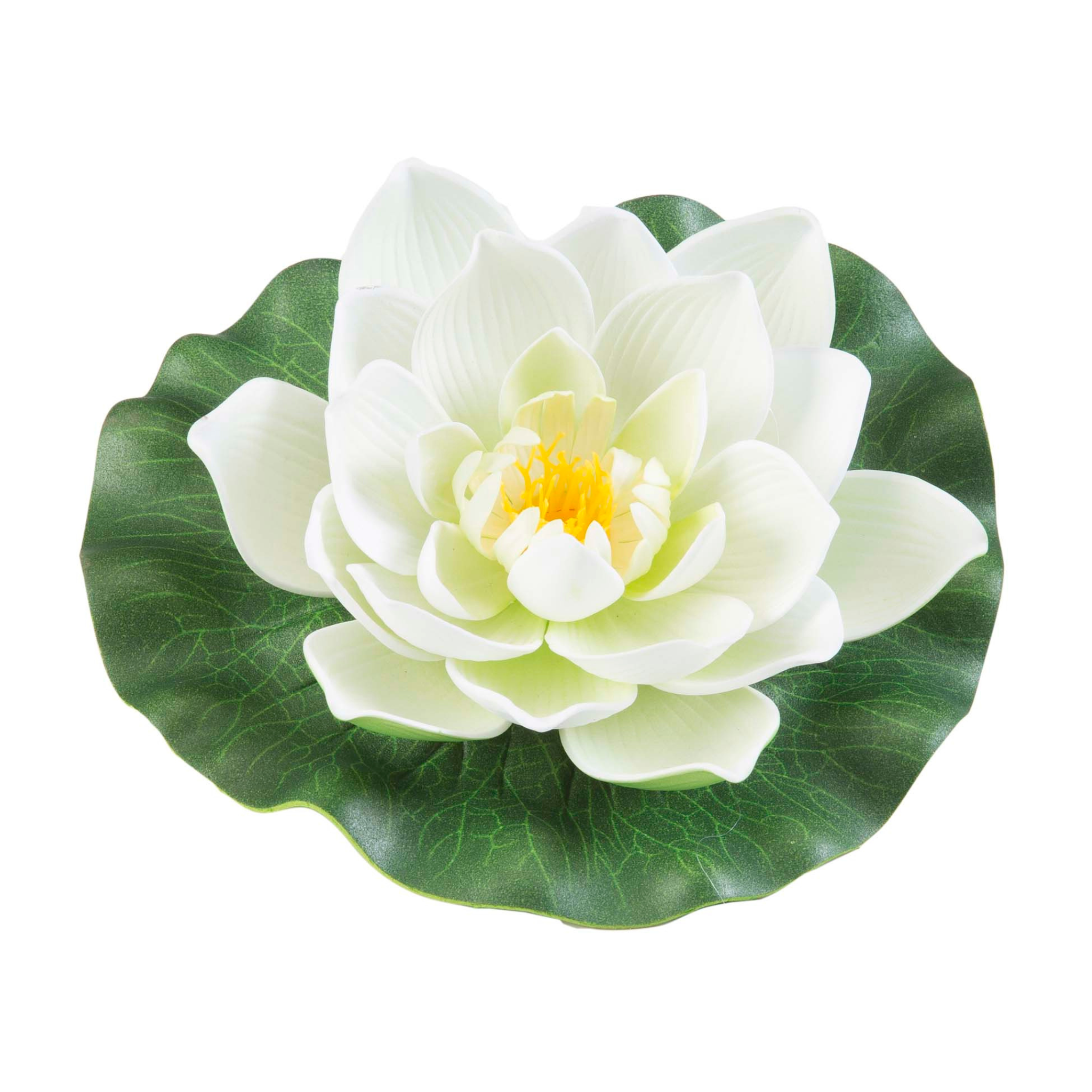 Lotus foam yellow