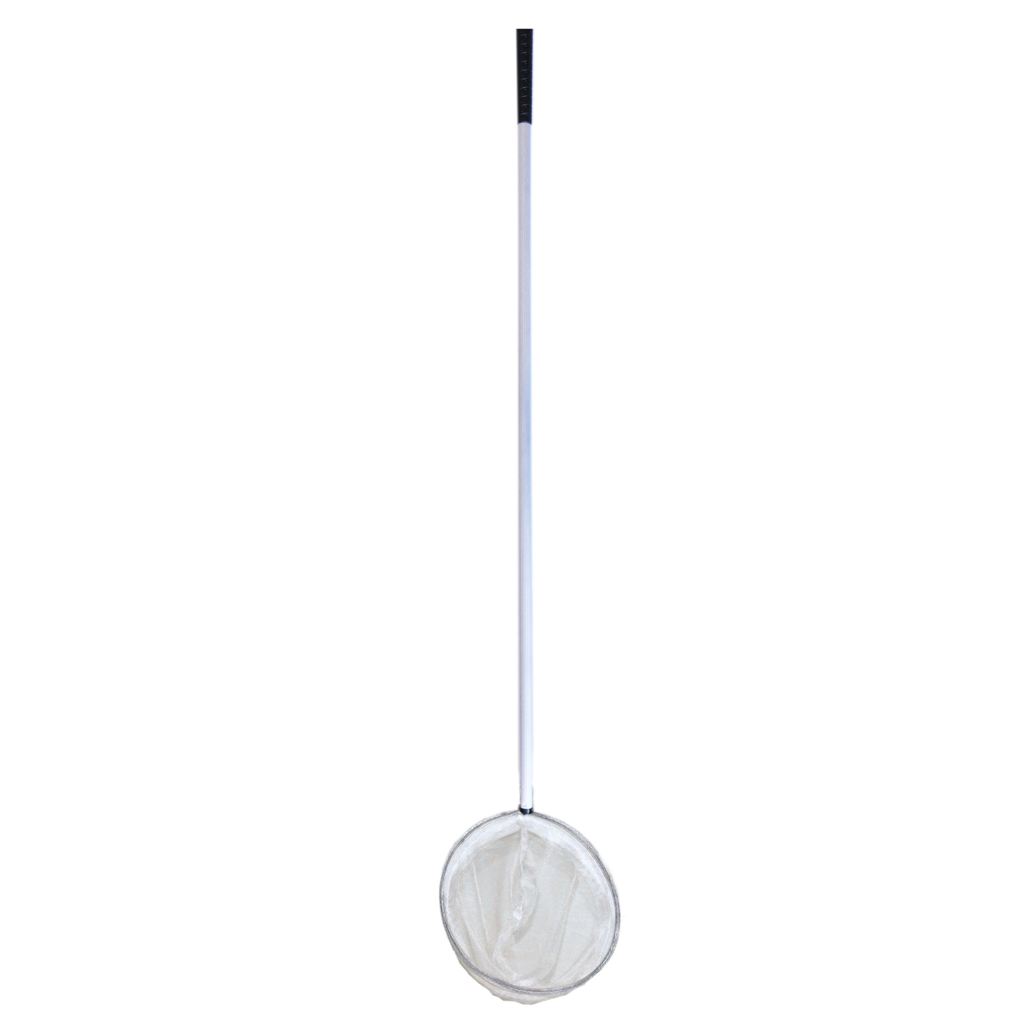 Pond Net Daphnia