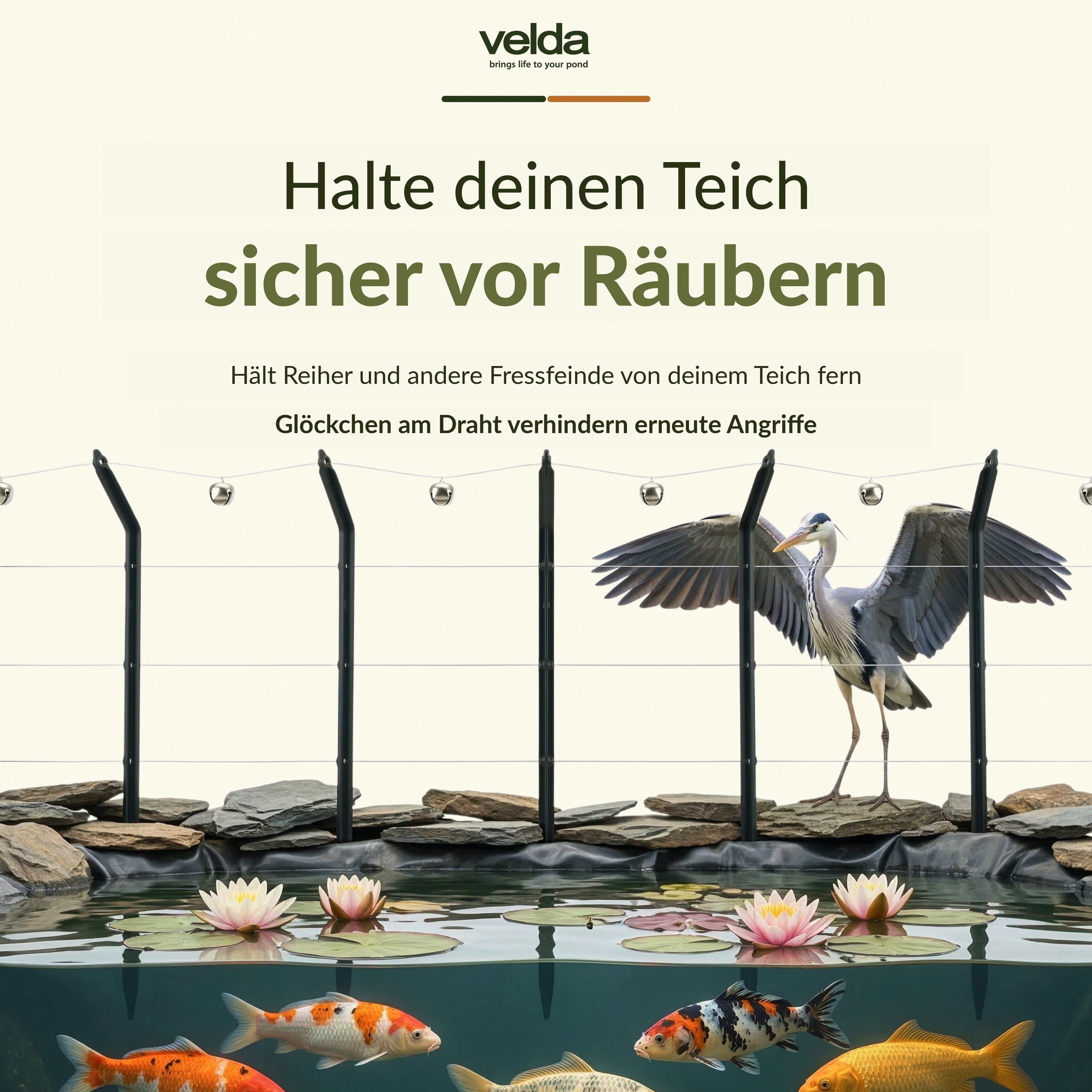 Velda Produktbild (DE)