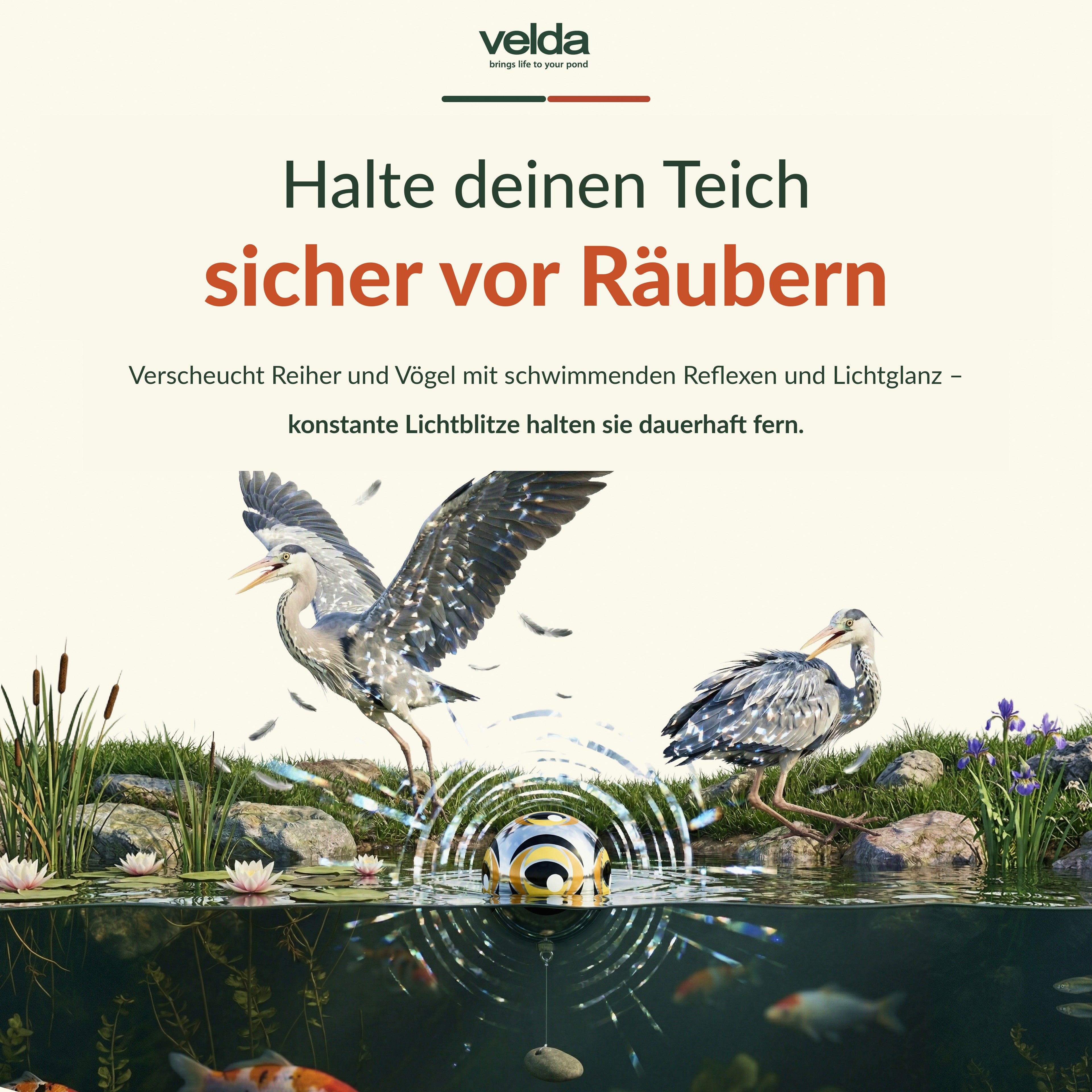 Velda Produktbild (DE)