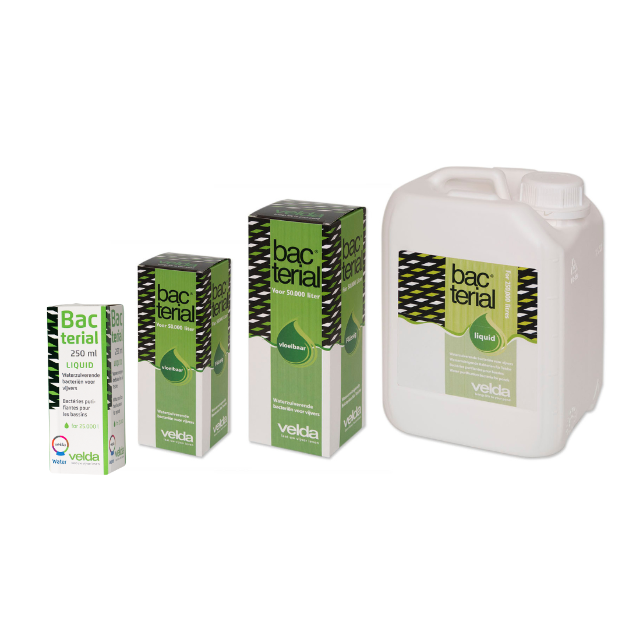 Bacterial Liquid Gruppe