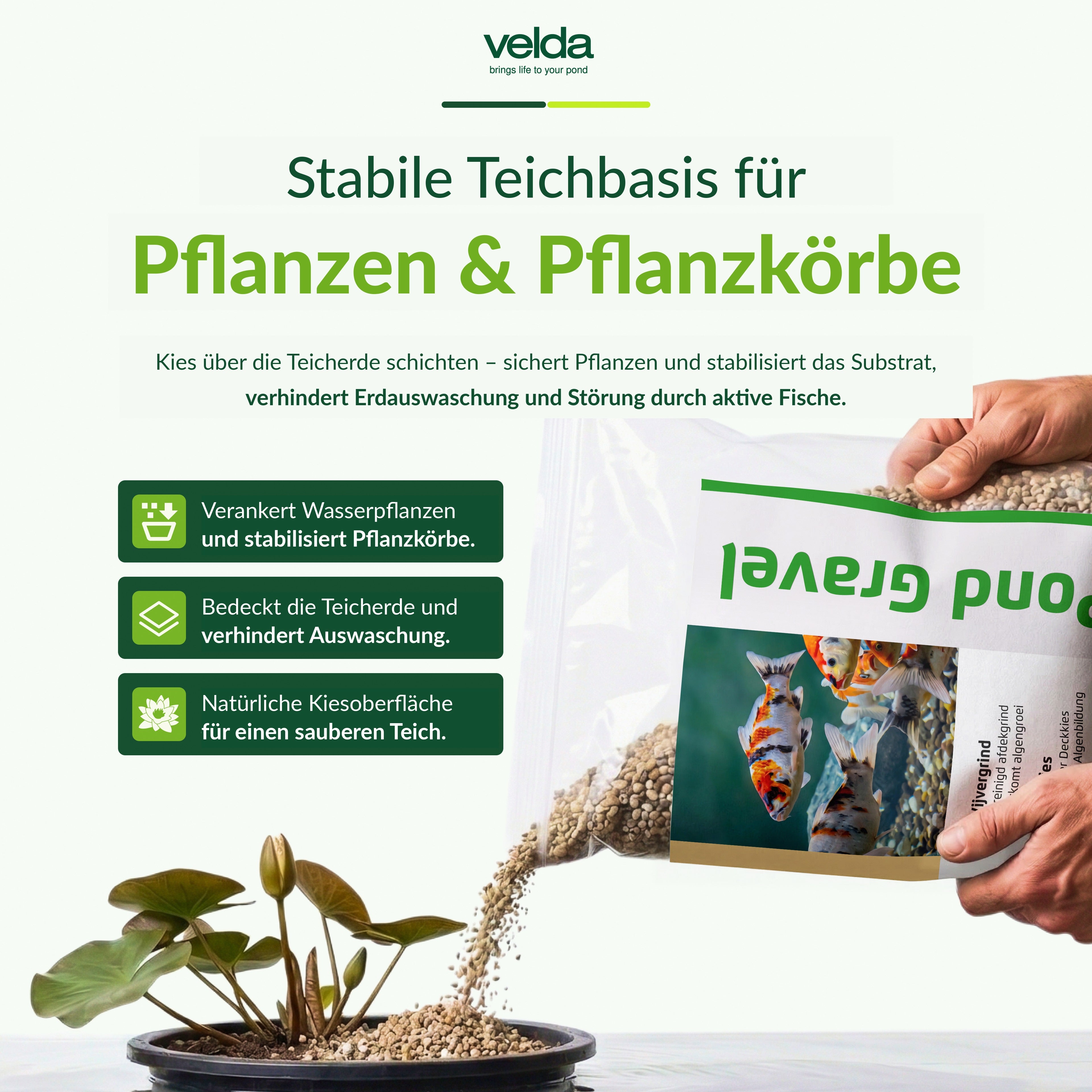 Velda Produktbild (DE)