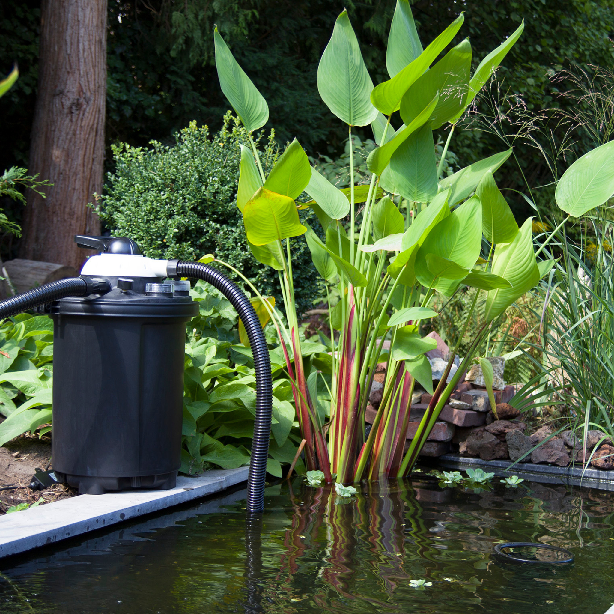 Stimmungsfoto Clear Control