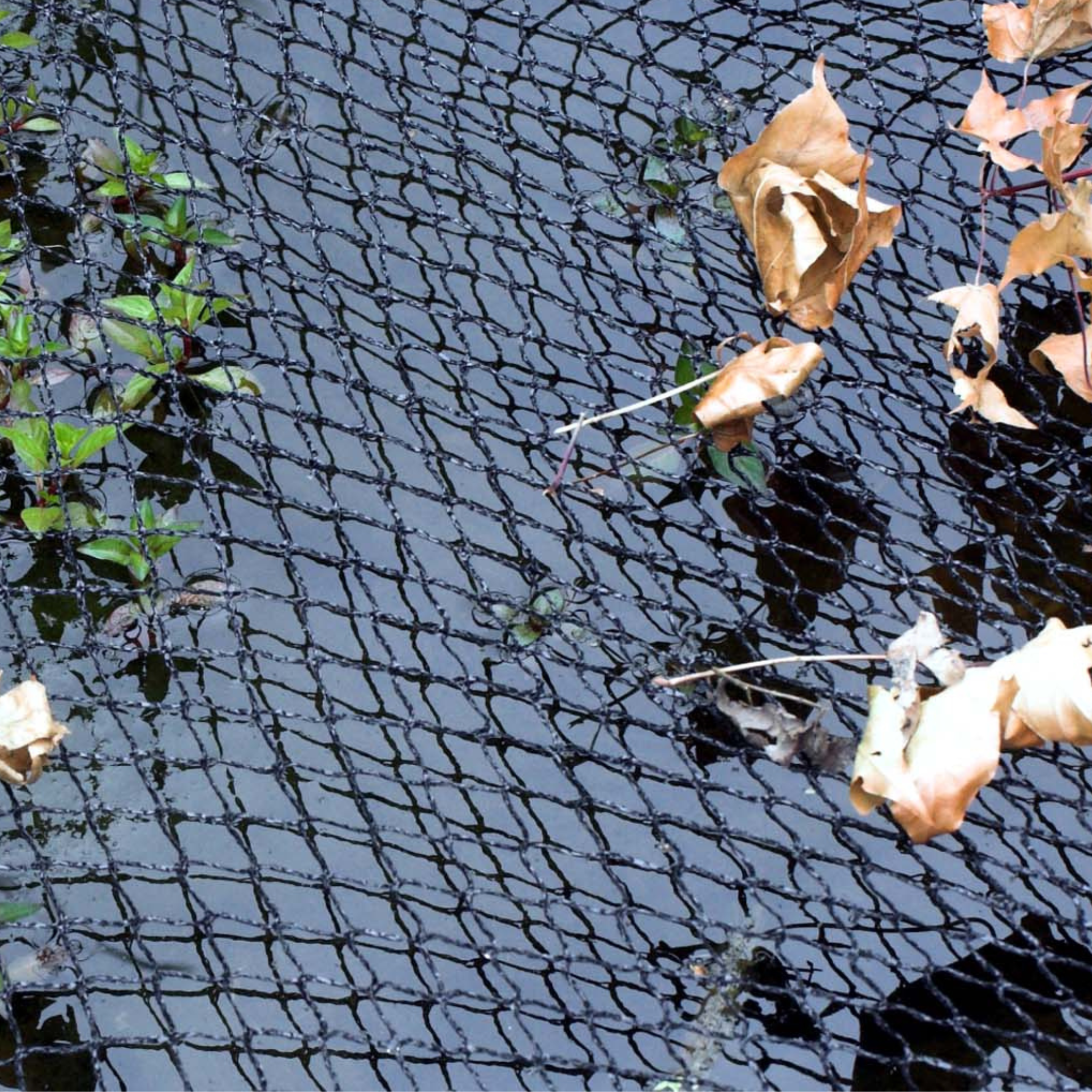 Abdecknetz in Verwendung