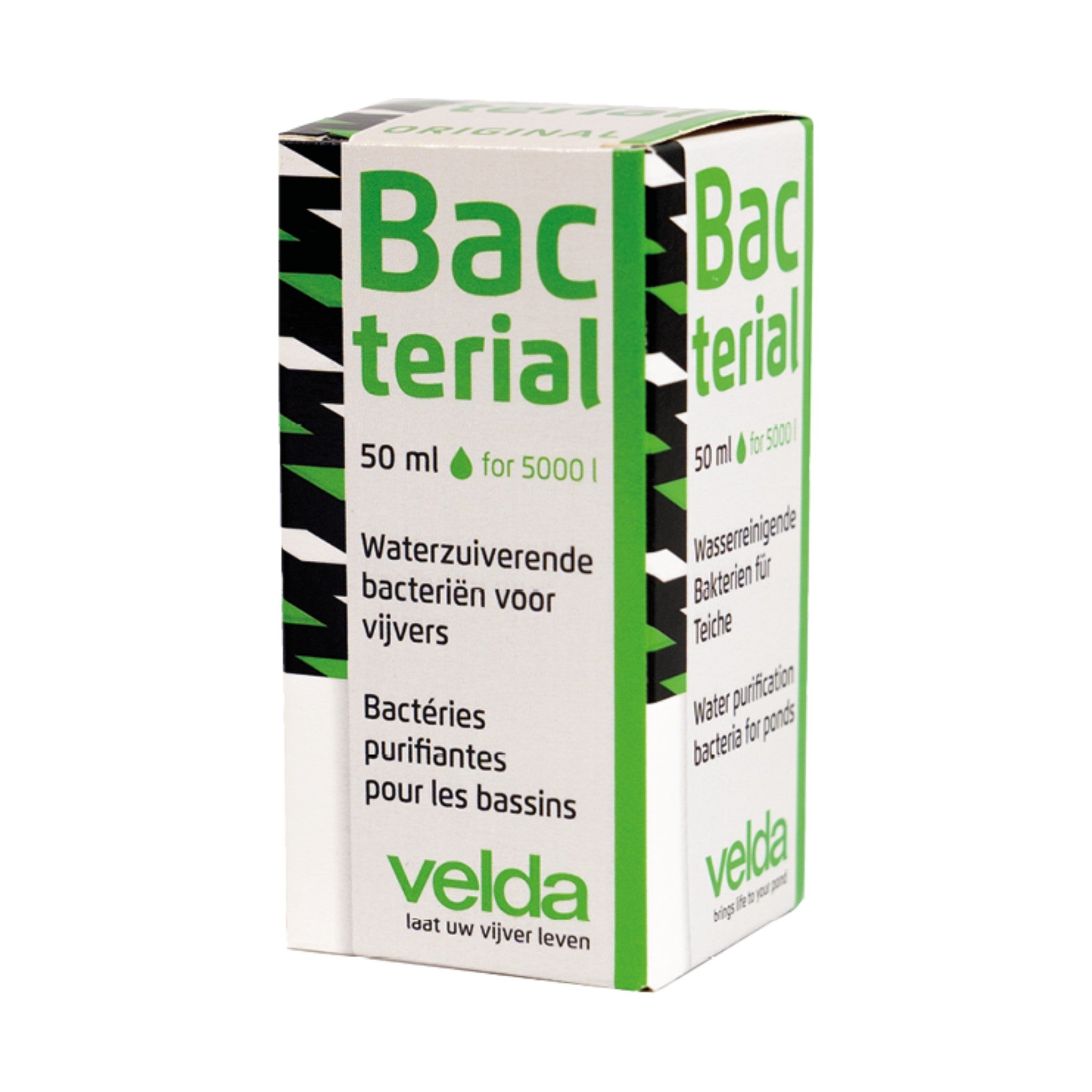 Bacterial