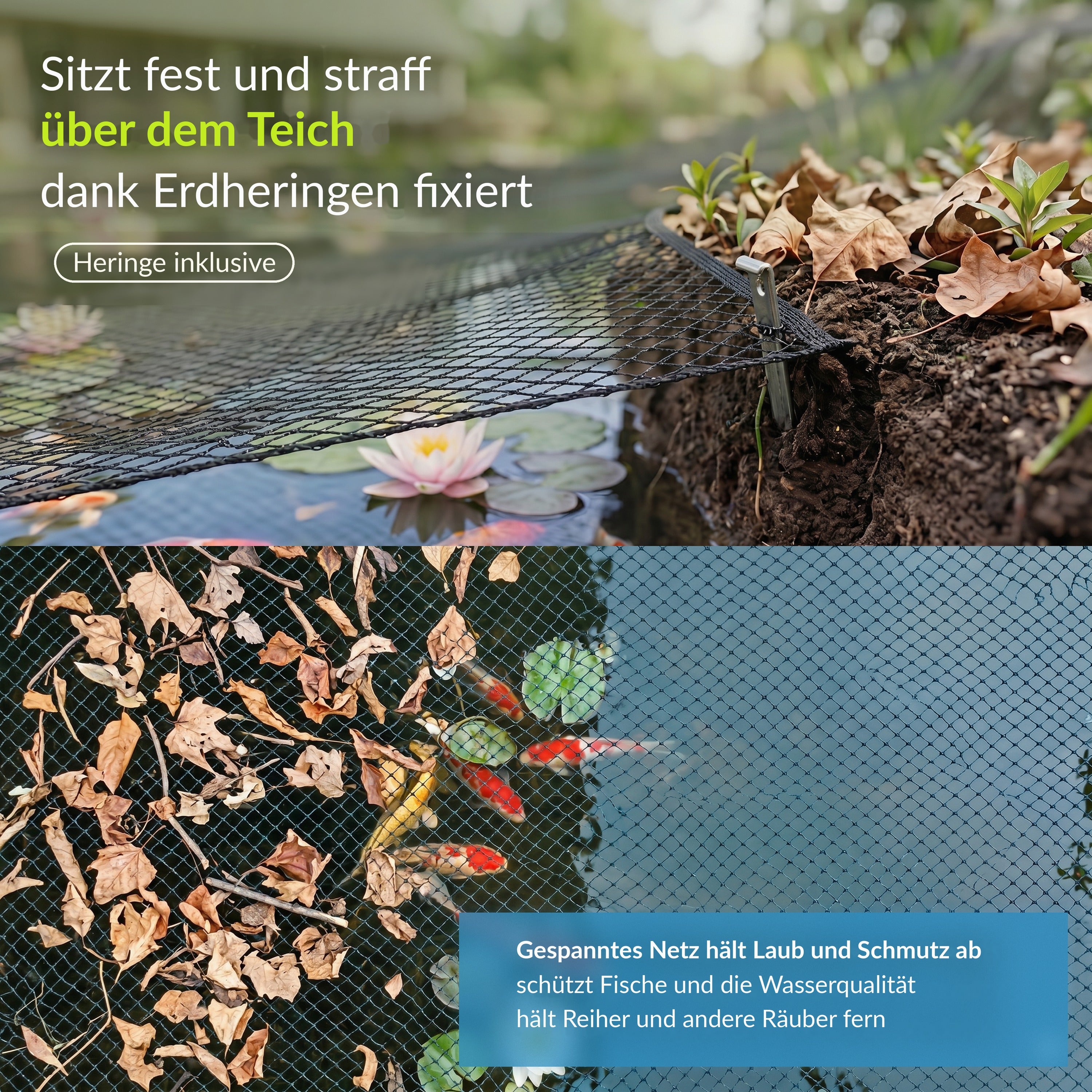 Velda Produktbild (DE)