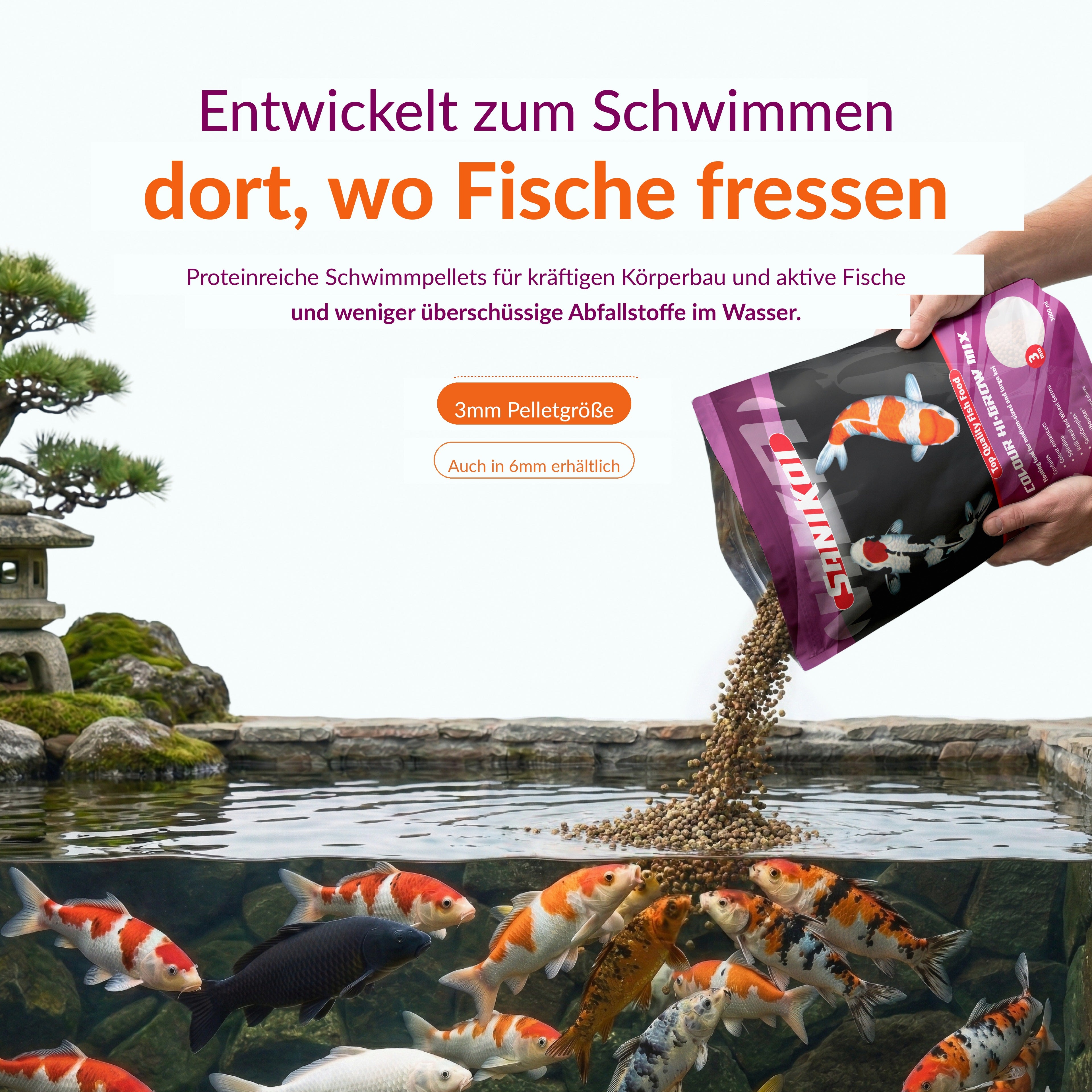Velda Produktbild (DE)