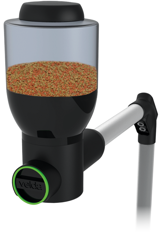 Fish Feeder Easy