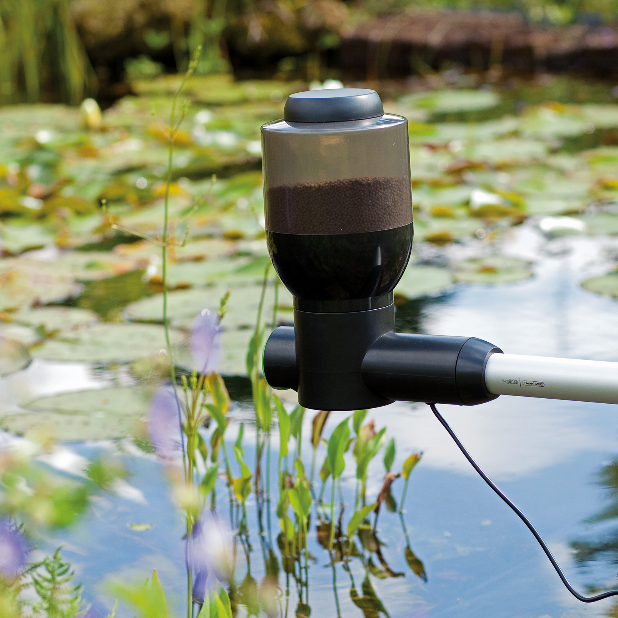 Fish Feeder Easy