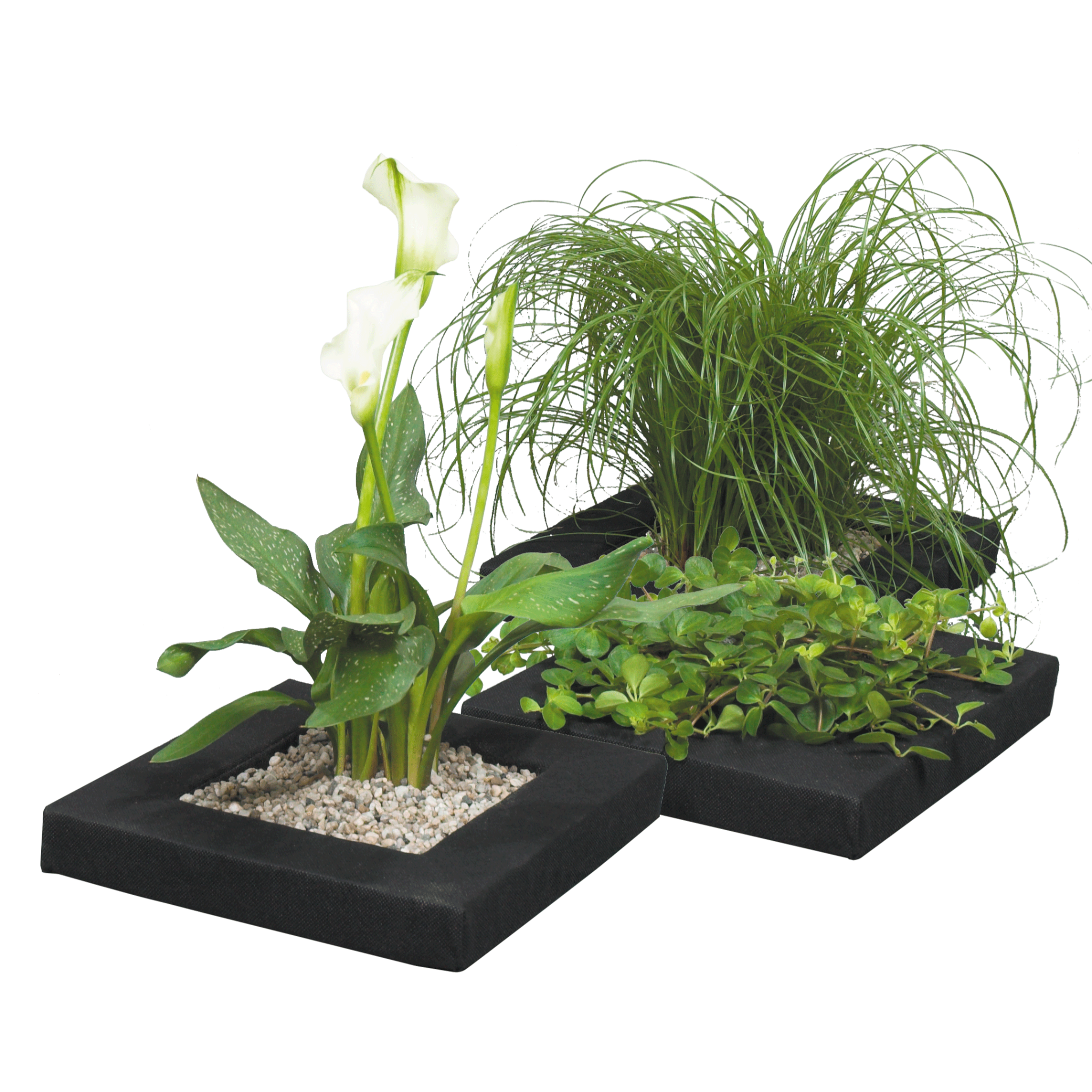 Floating Plant Island