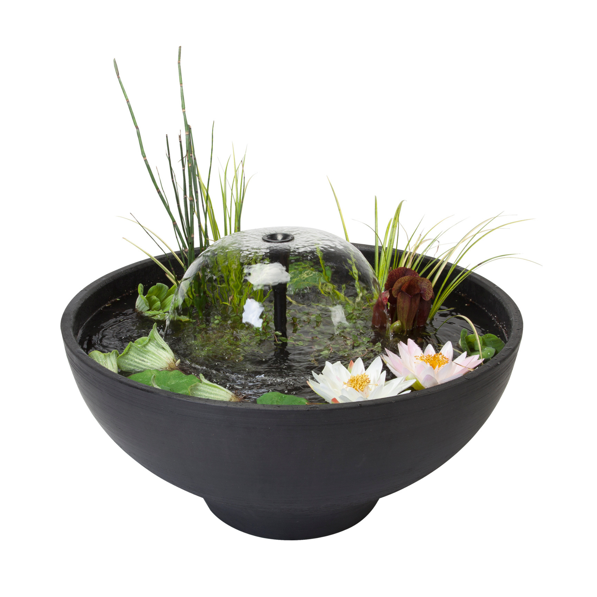 Fountain Pond