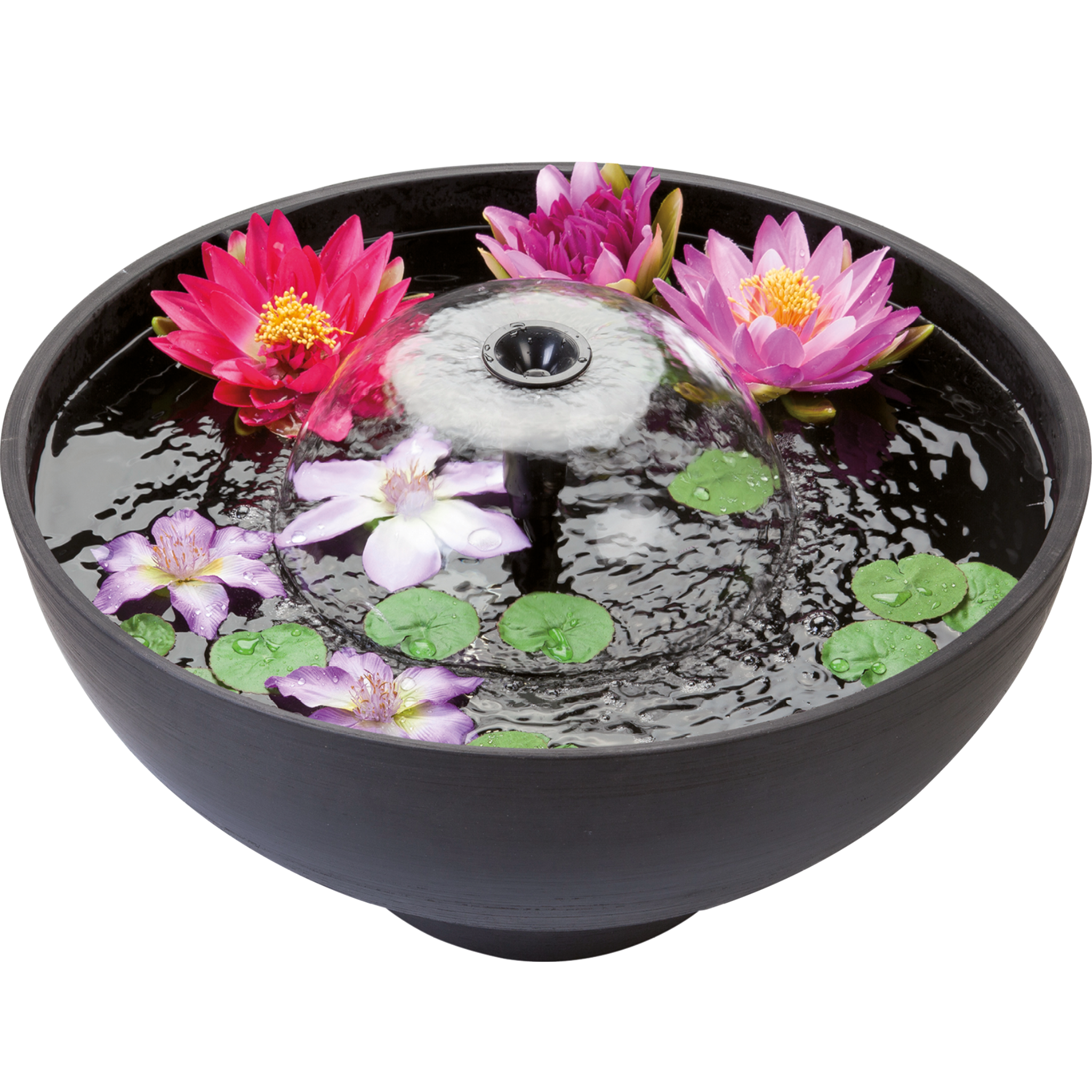 Fountain Pond
