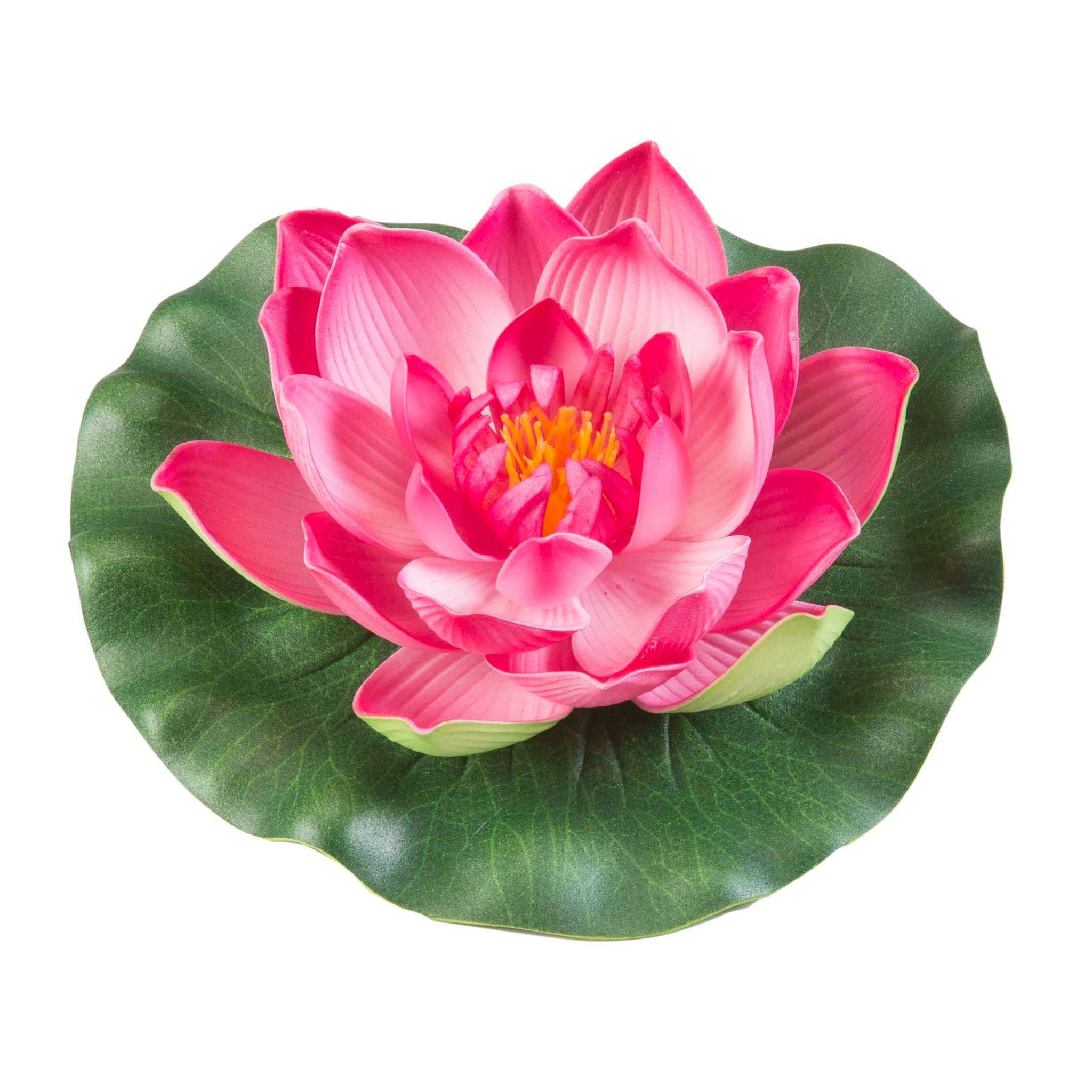 Lotus foam yellow