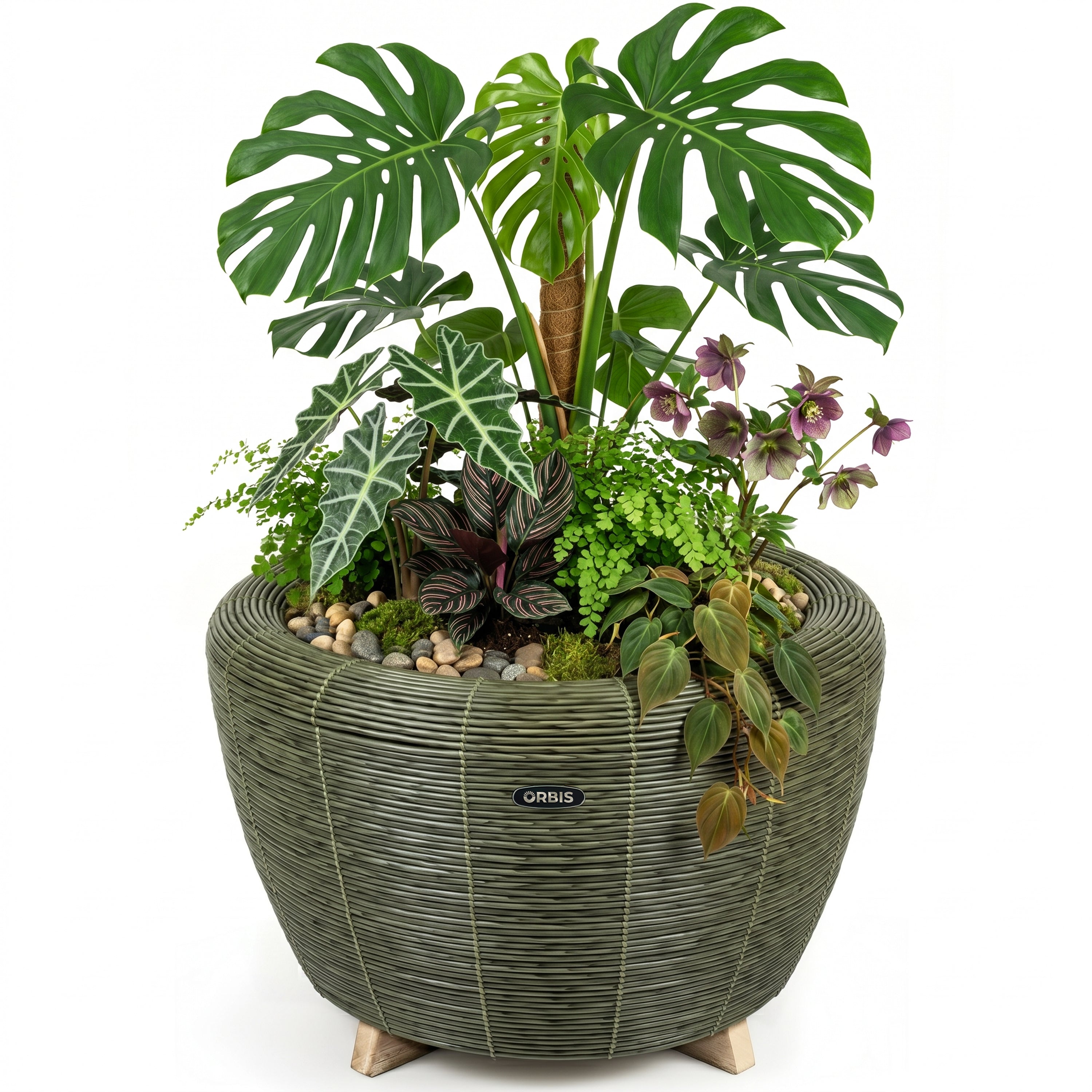 orbis-planter-olivgruen