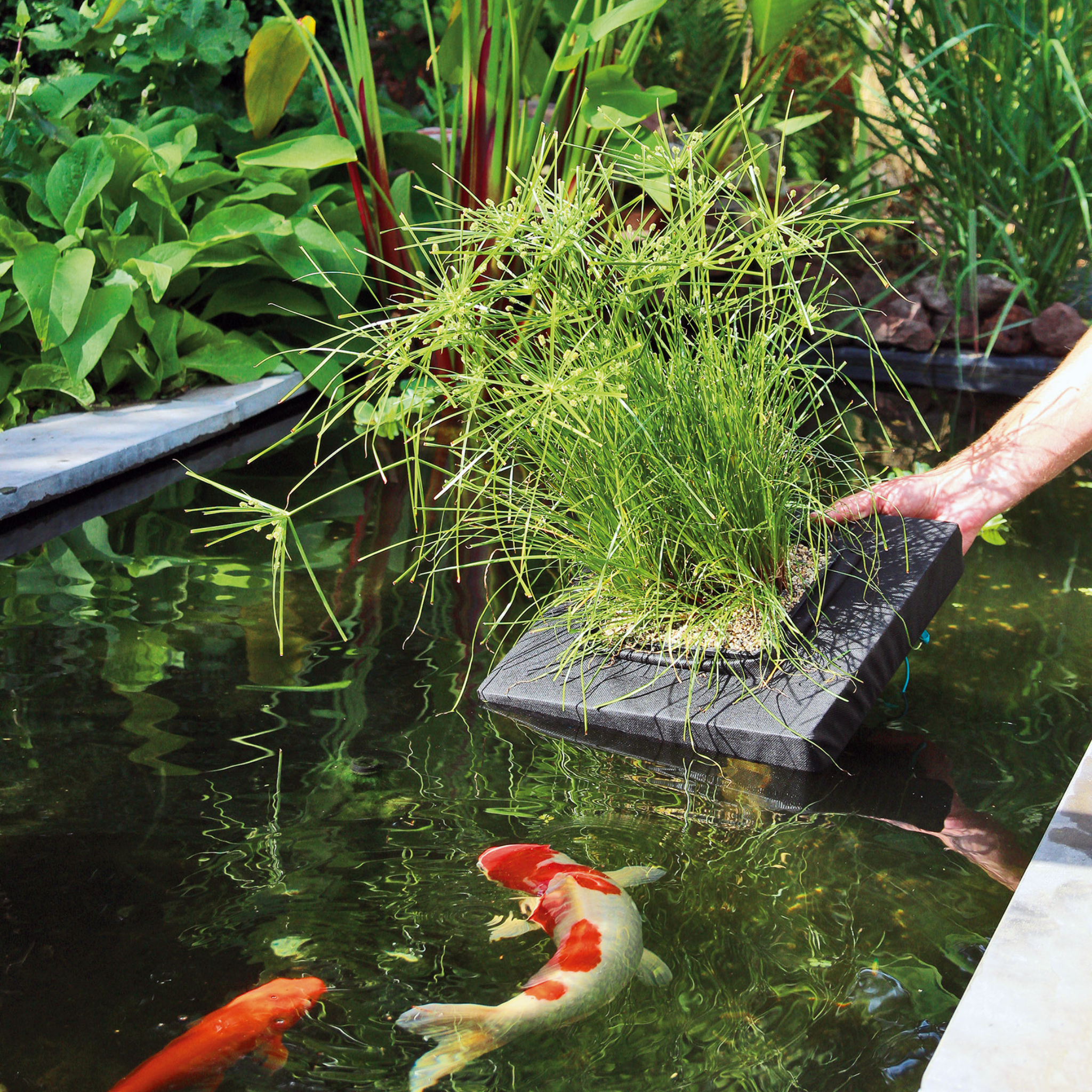 Floating Plant Island