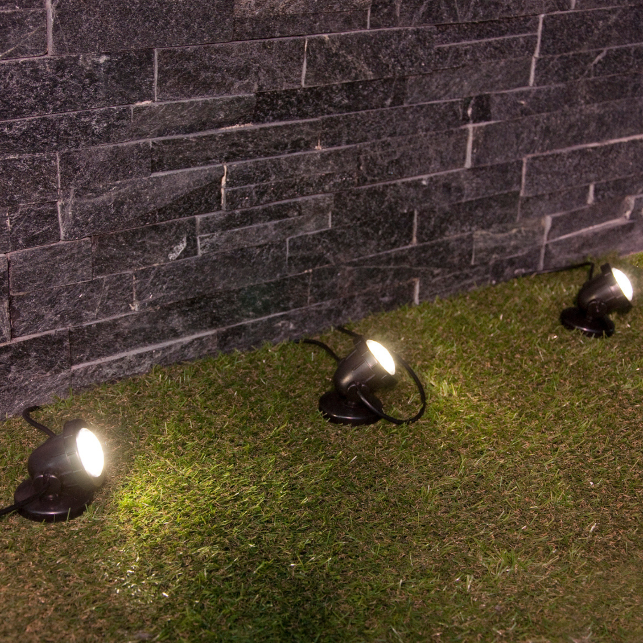 Pond LED Lights