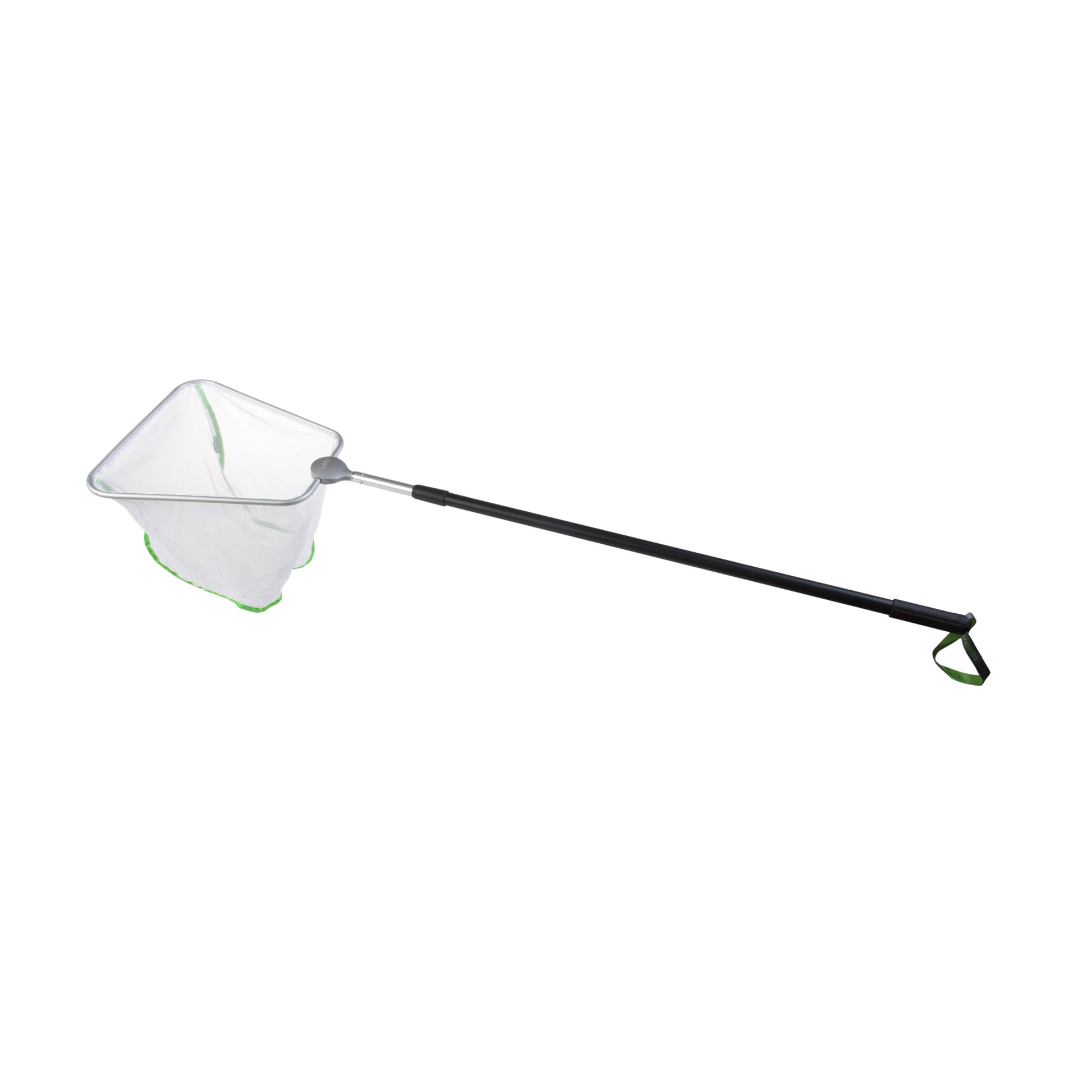 Pond Net Daphnia