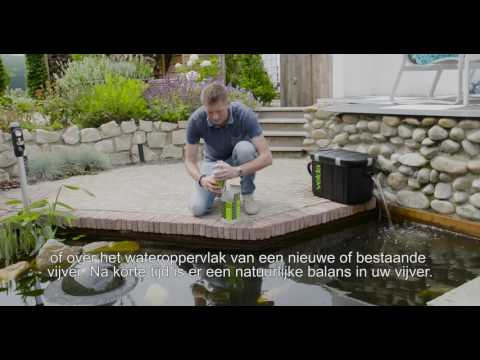 Bacterial video Velda