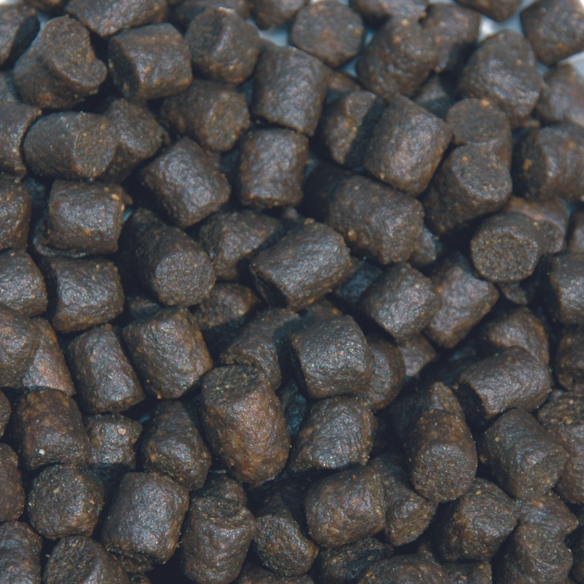 Sturgeon Pro green 6 mm