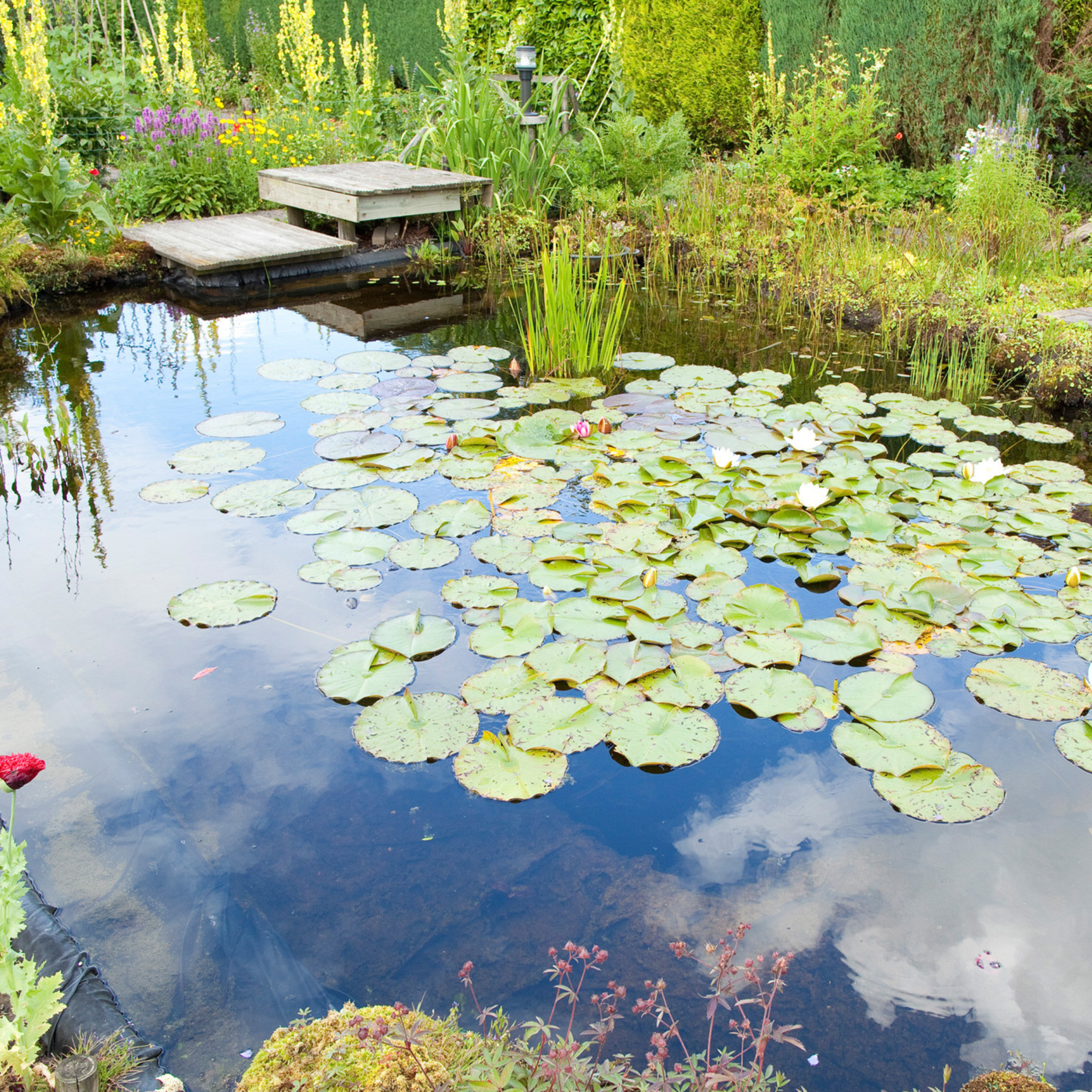 Filter Set basic 9000