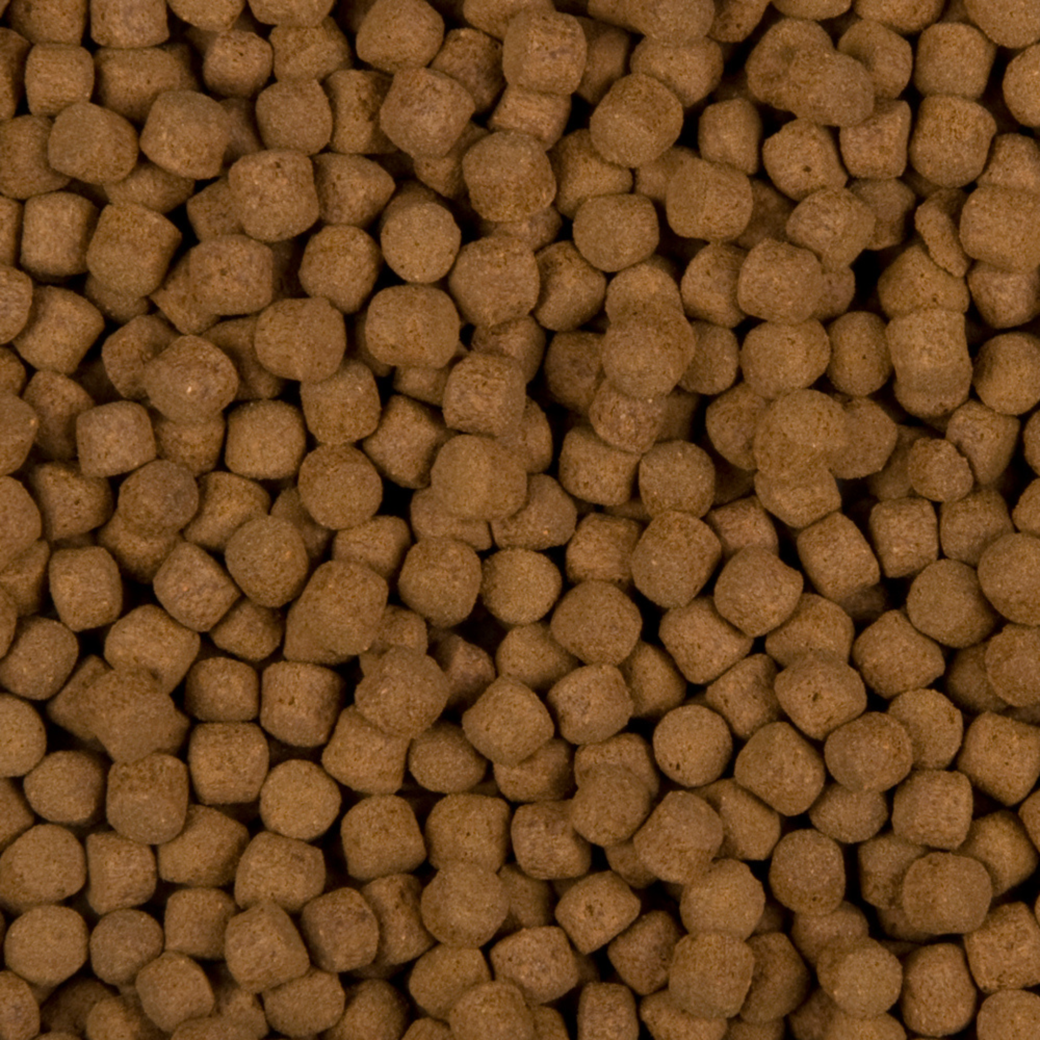 Excellent All-Round 3 mm