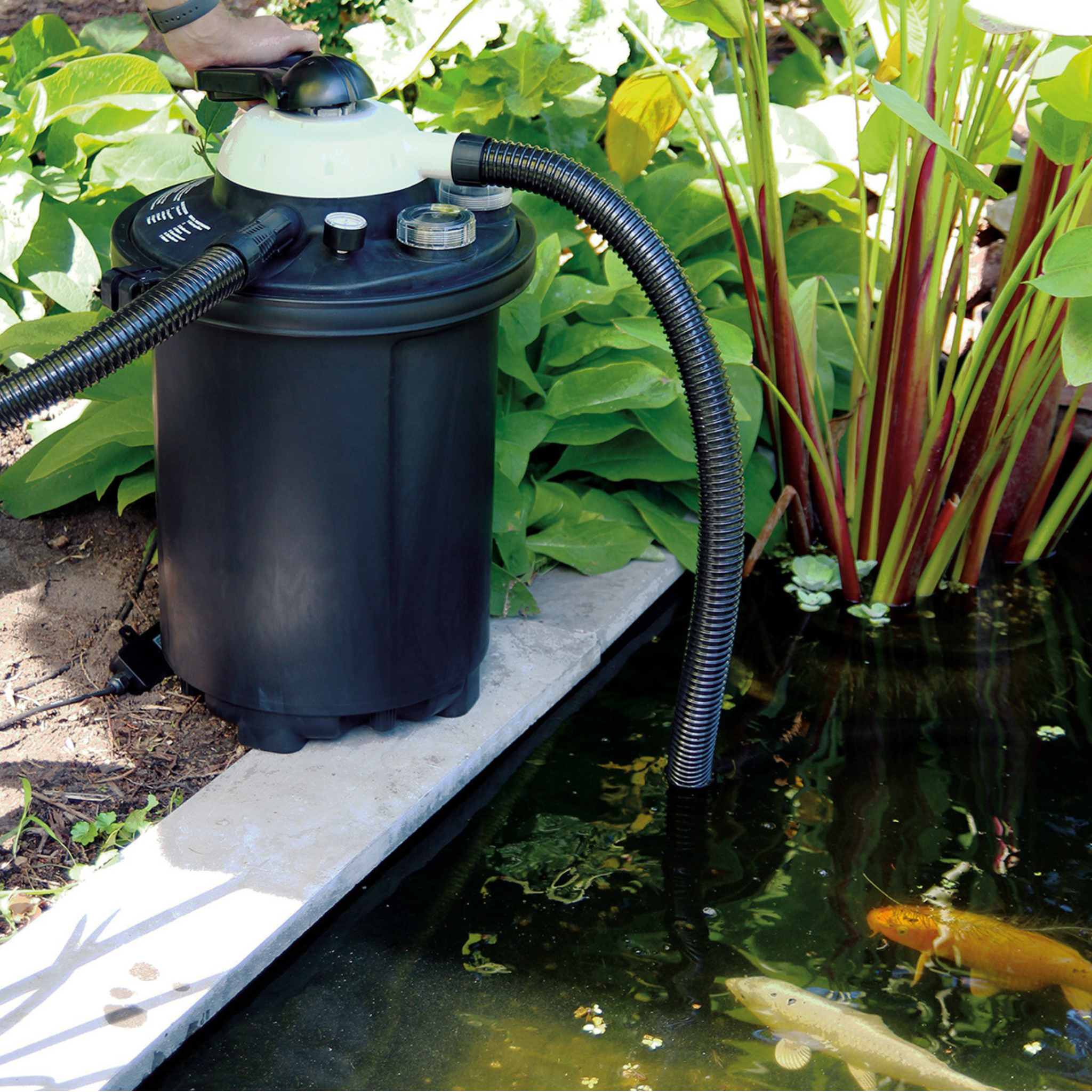 Atmosphärenfoto Clear Control Set