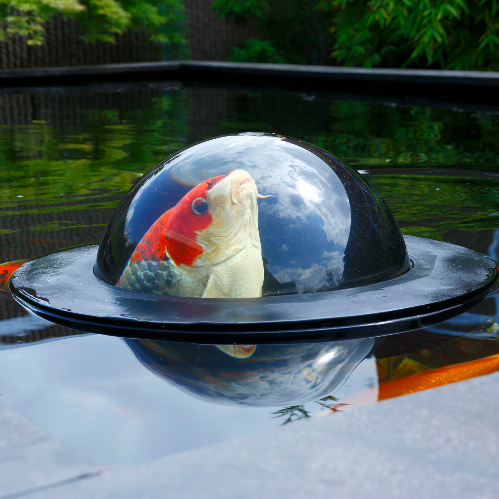 Floating Fish Dome M