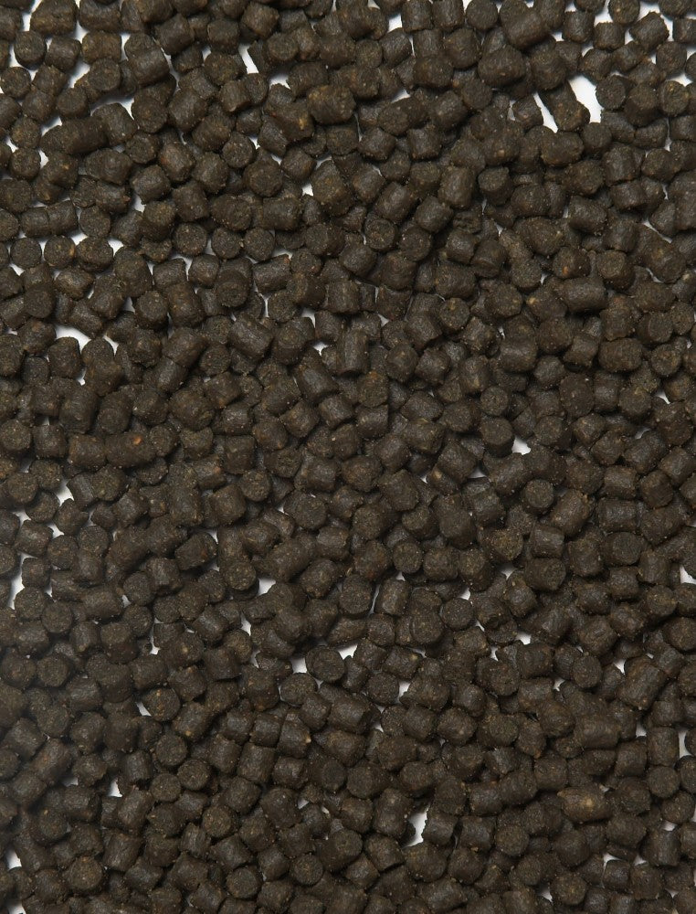 Sturgeon Fish Food