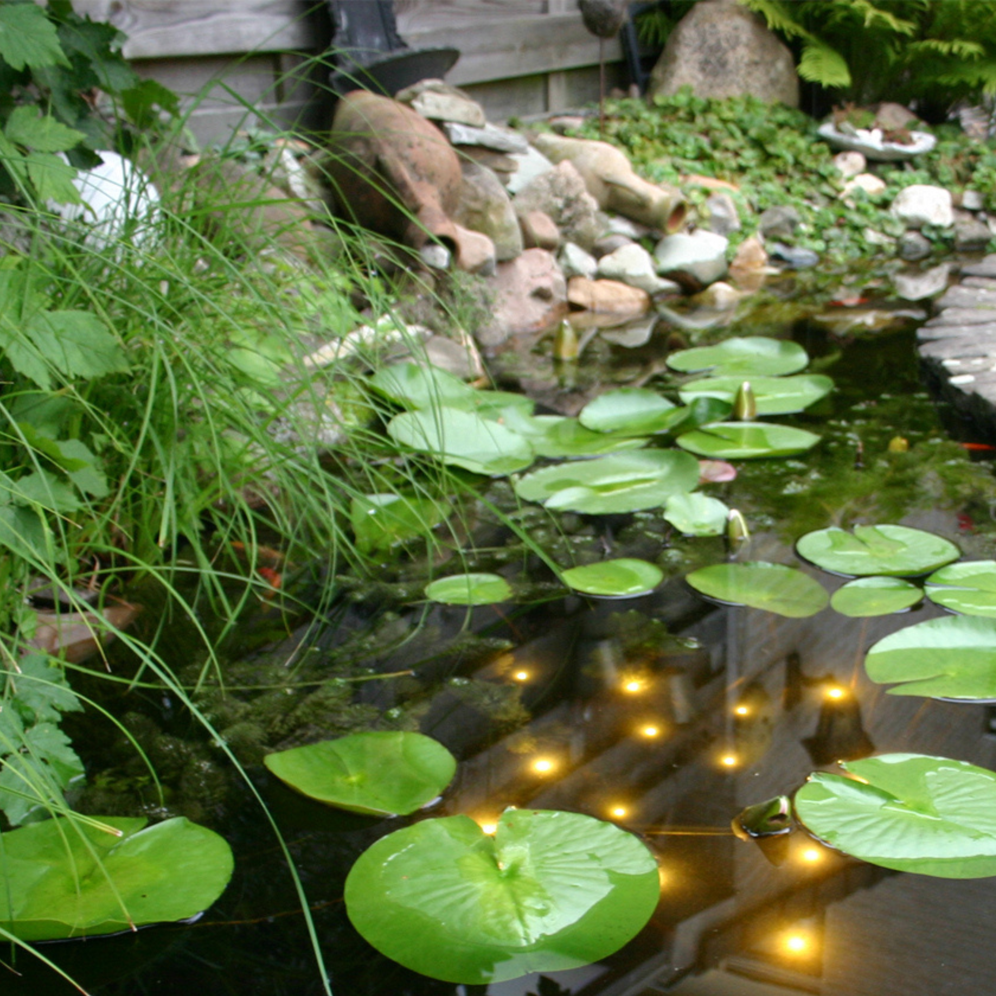 Welkin Pond Light