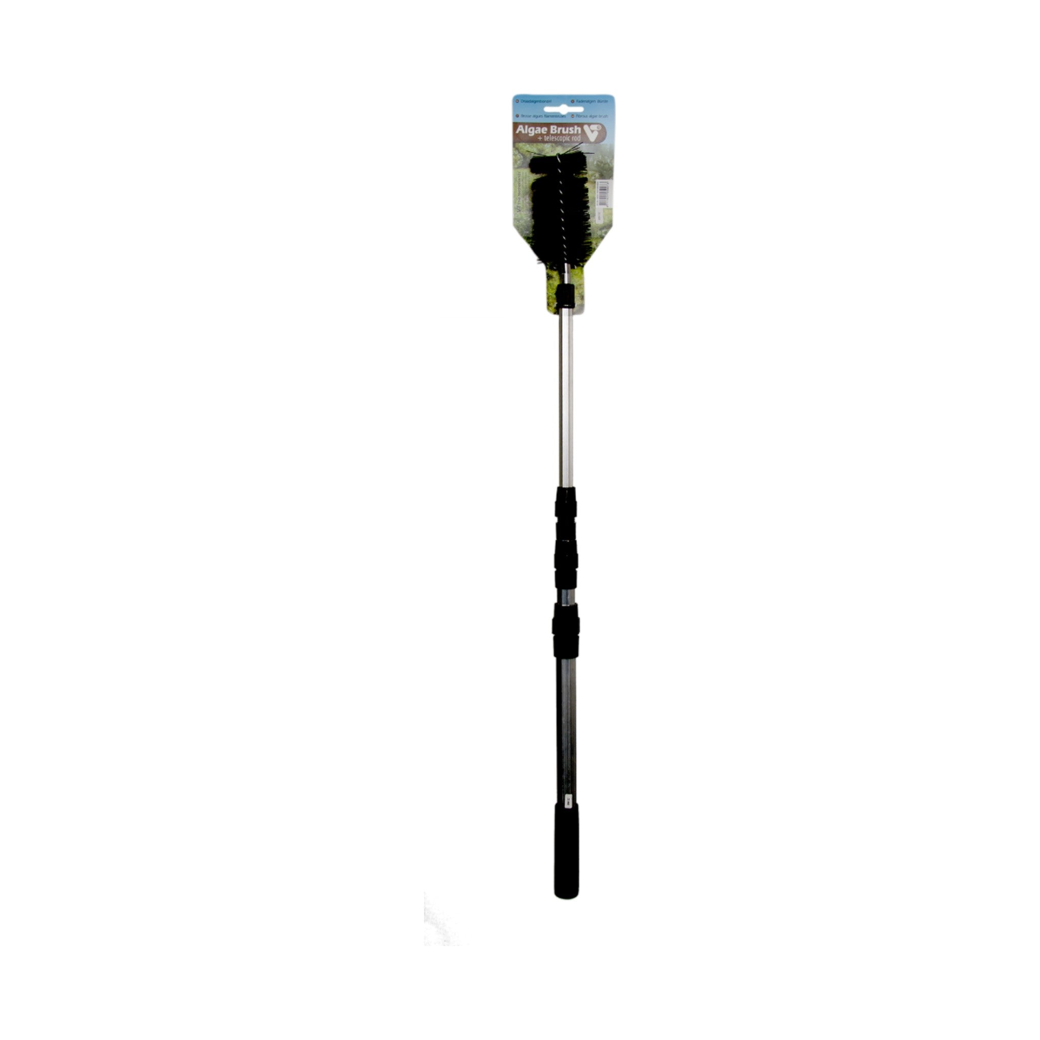 Algae Brush