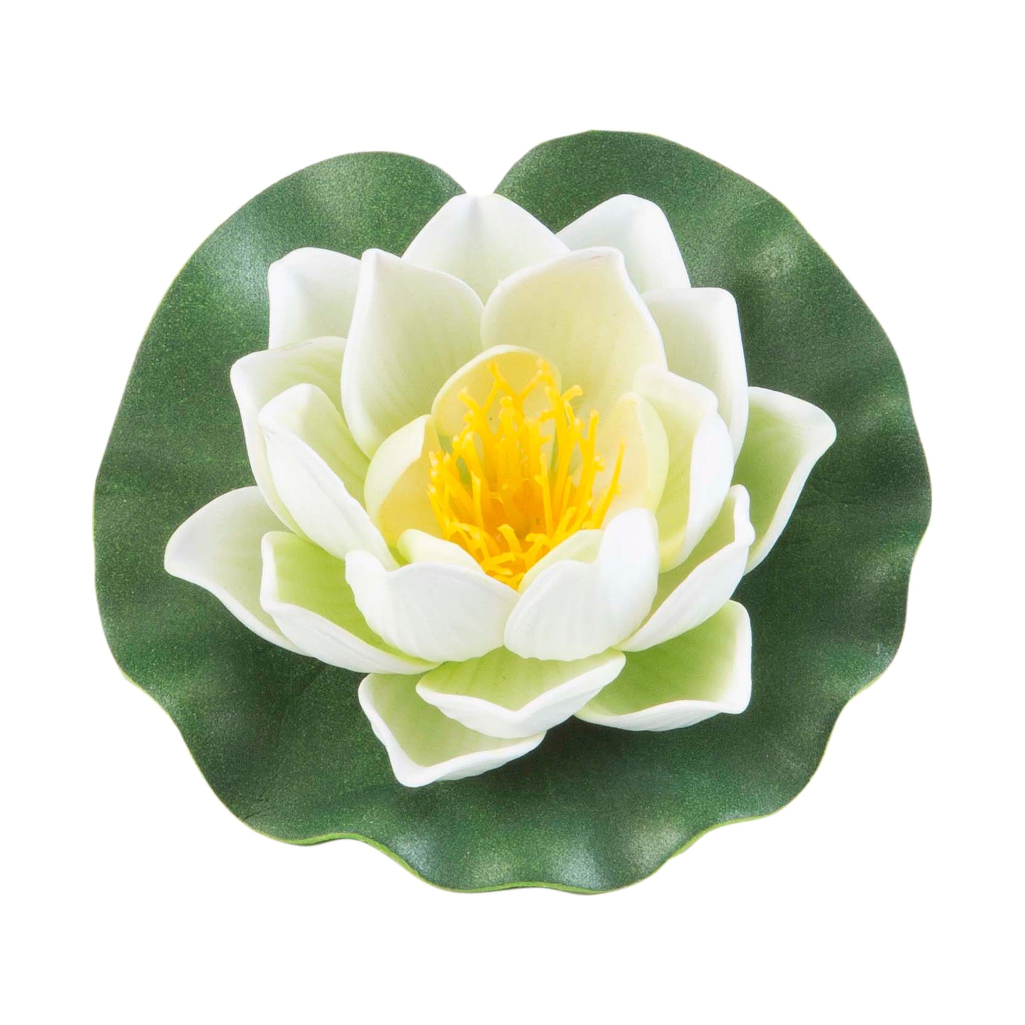 Lotus foam yellow