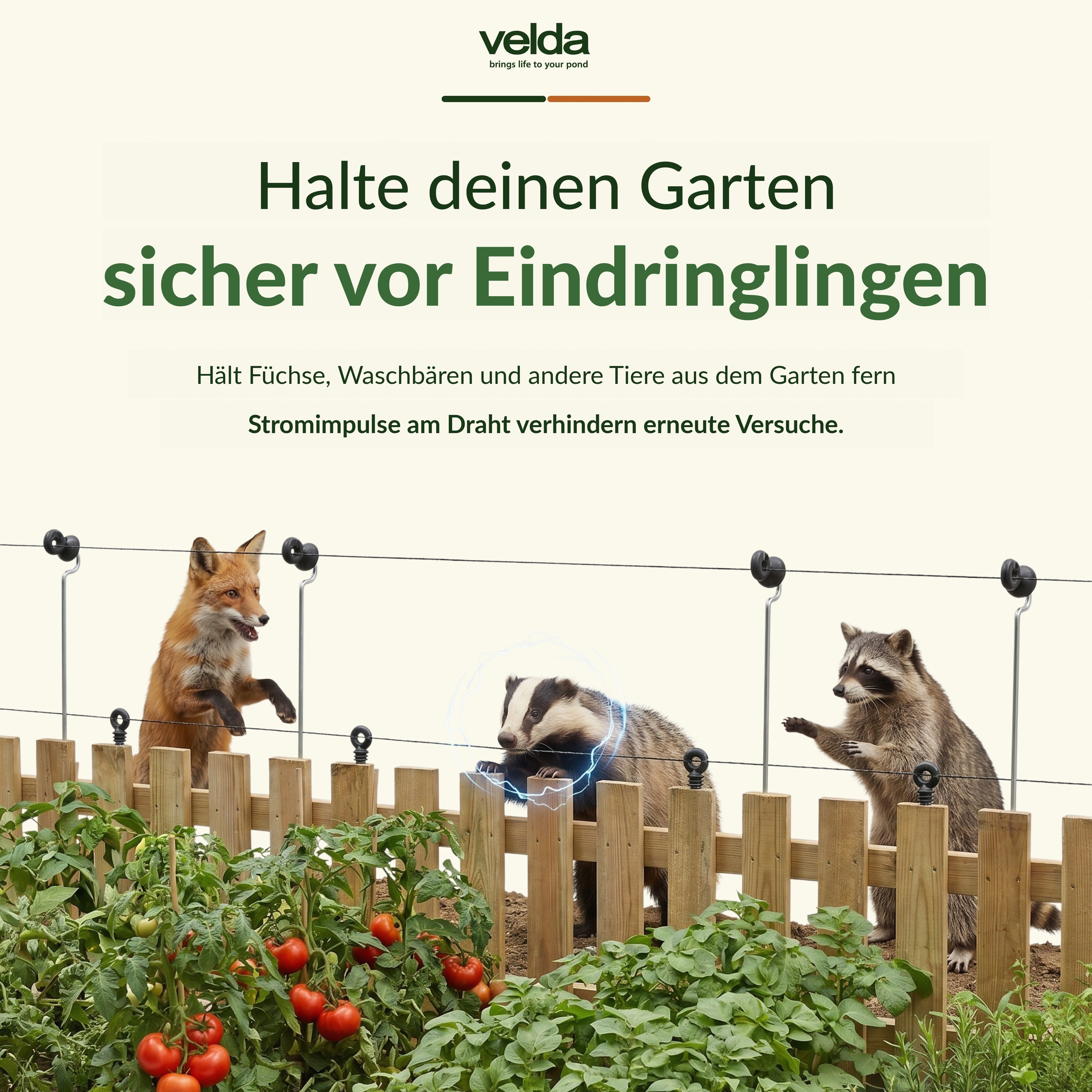 Velda Produktbild (DE)