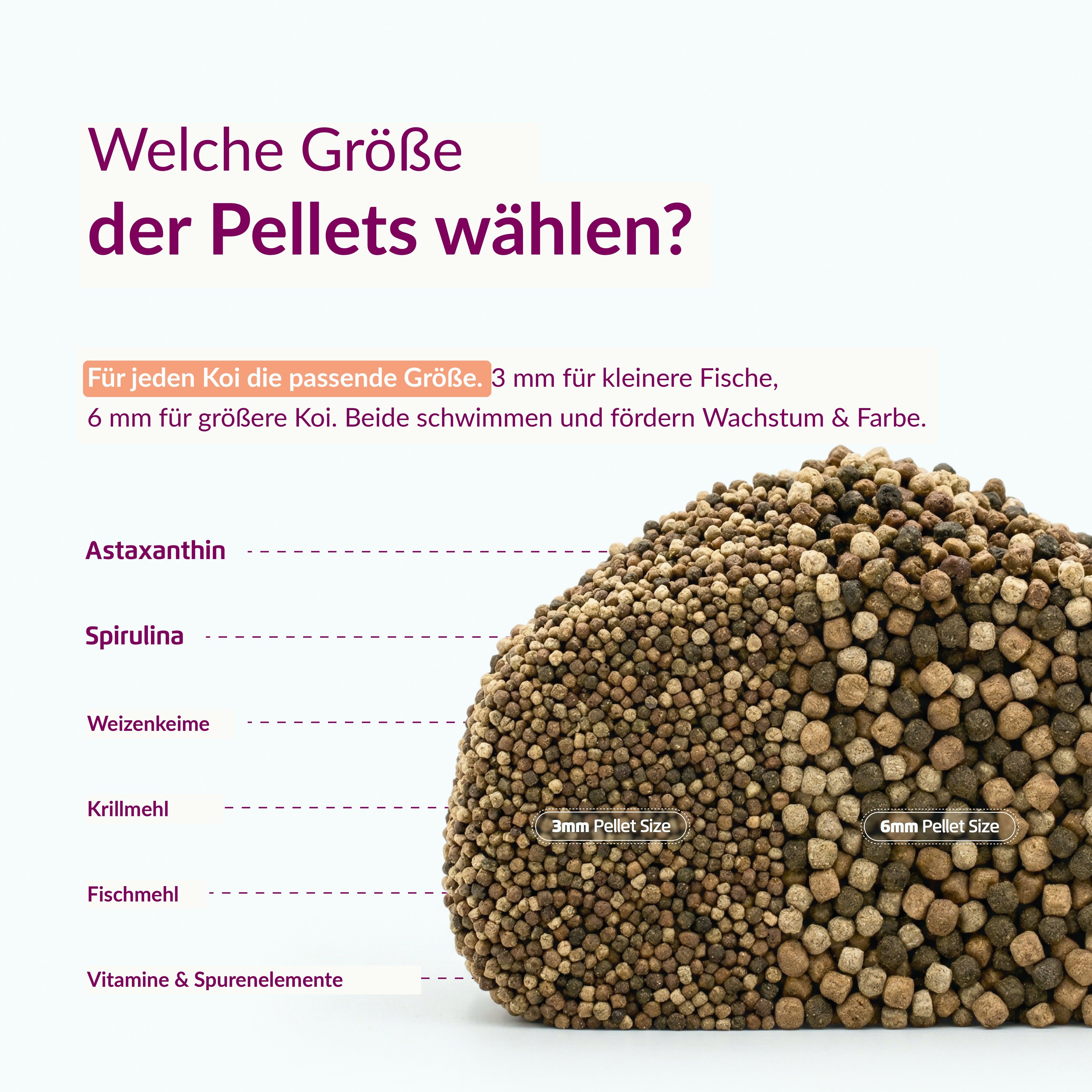 Velda Produktbild (DE)