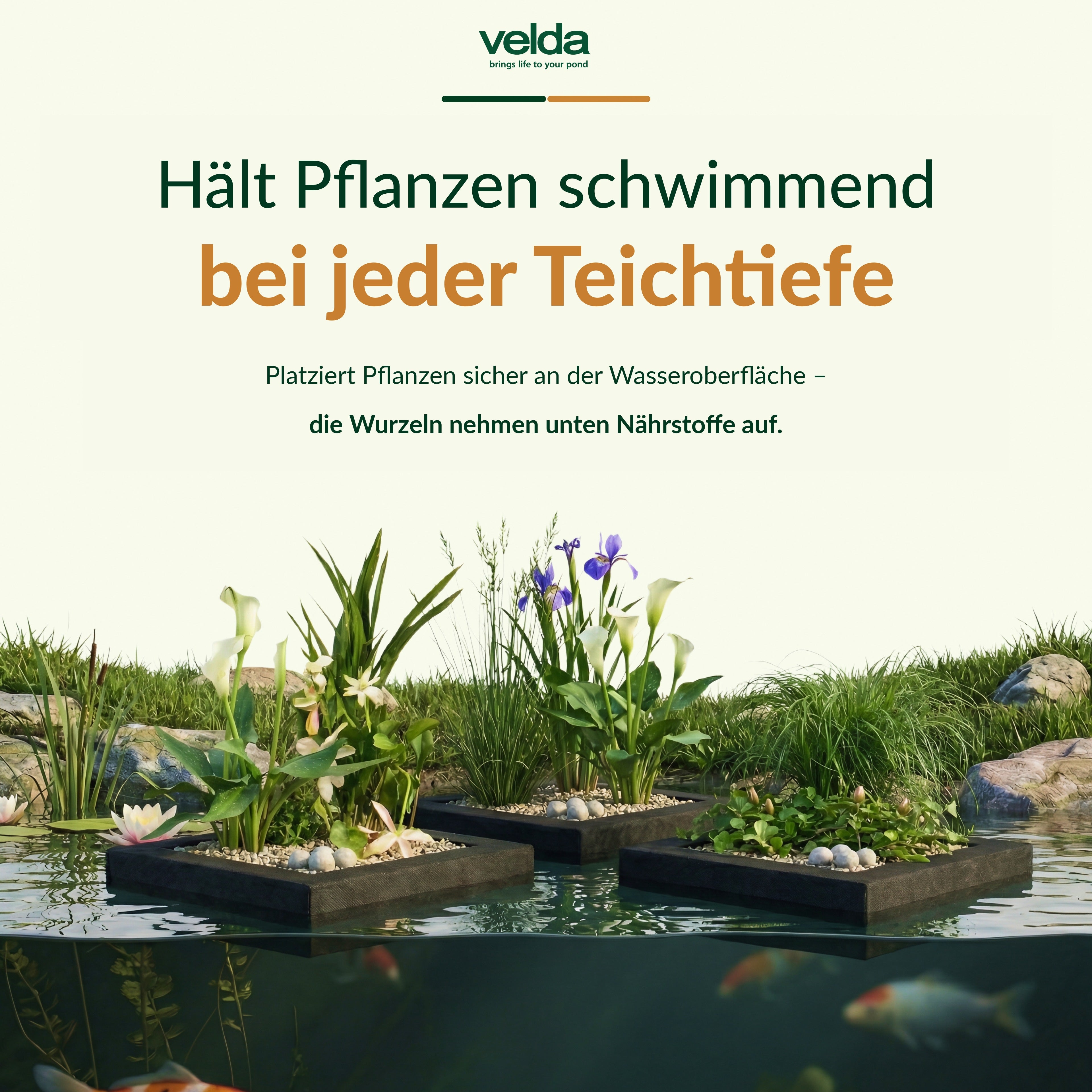 Velda Produktbild (DE)