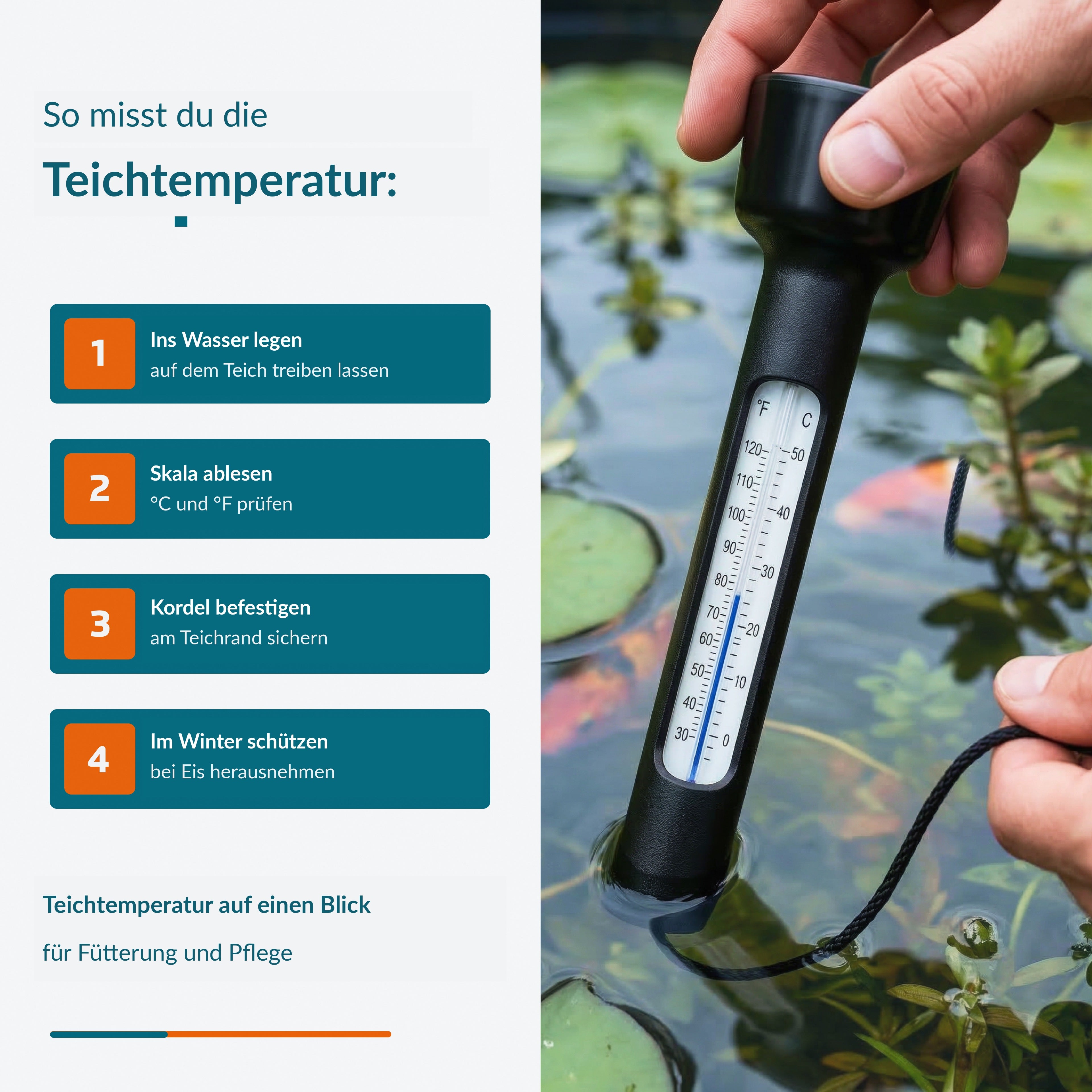 Velda Produktbild (DE)