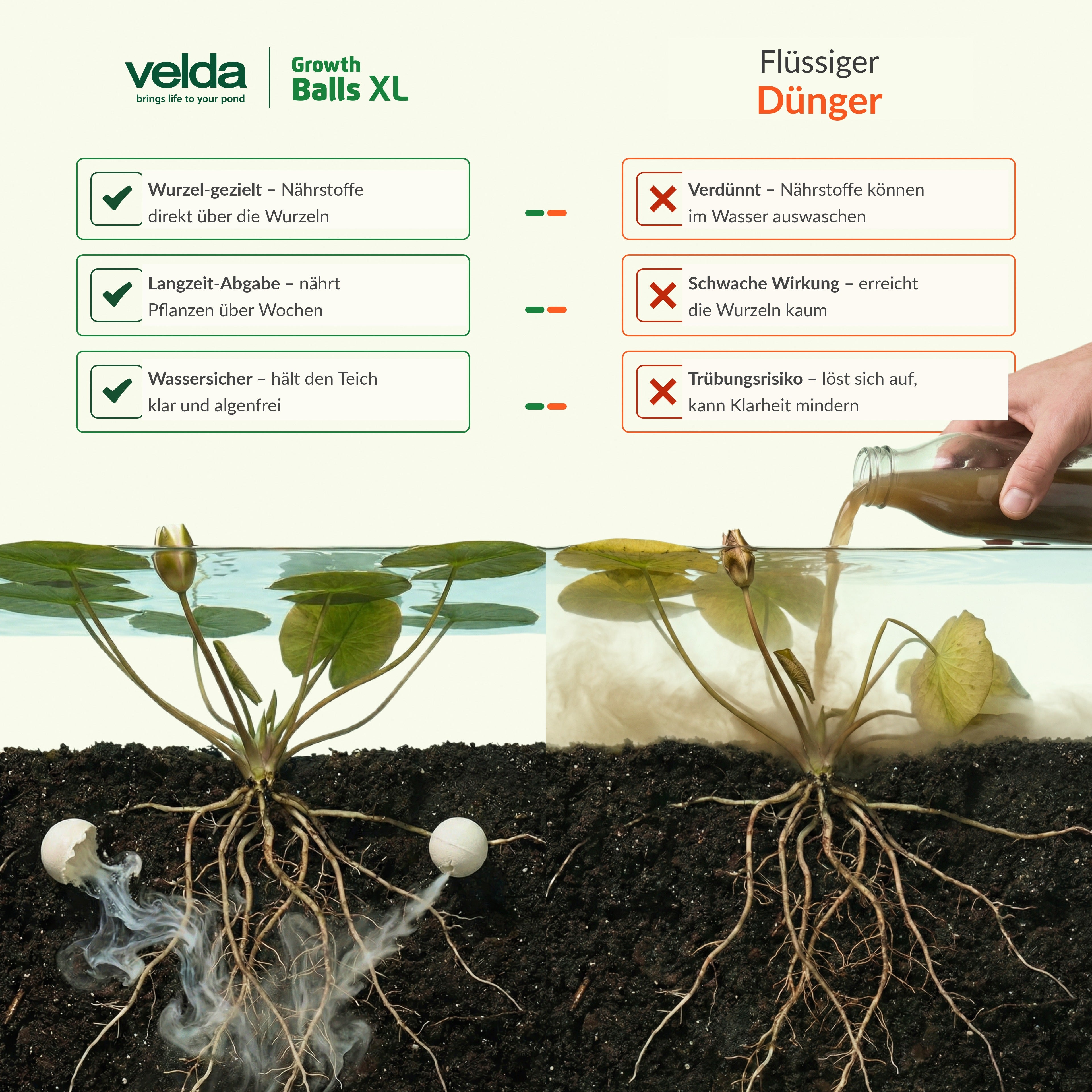 Velda Produktbild (DE)