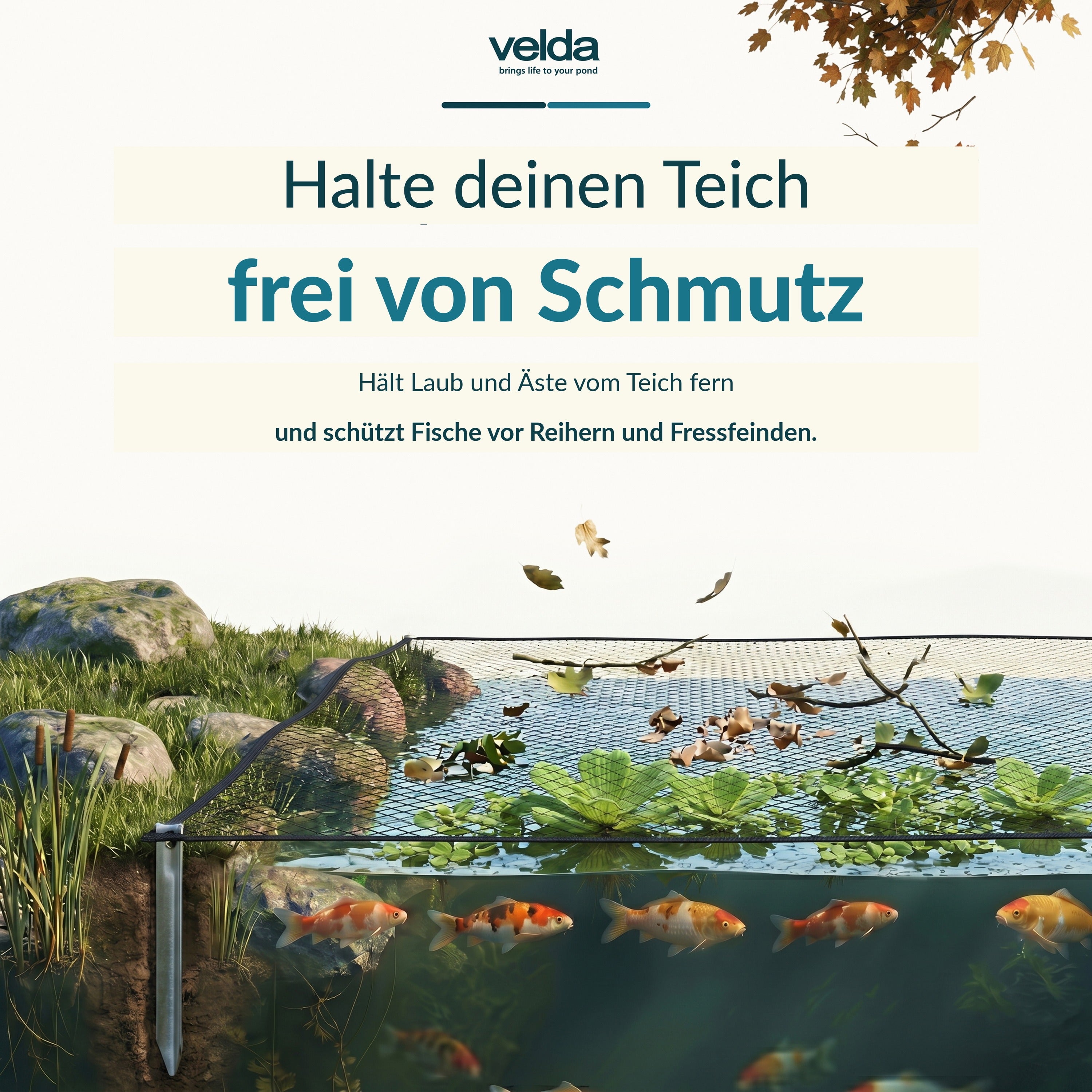 Velda Produktbild (DE)