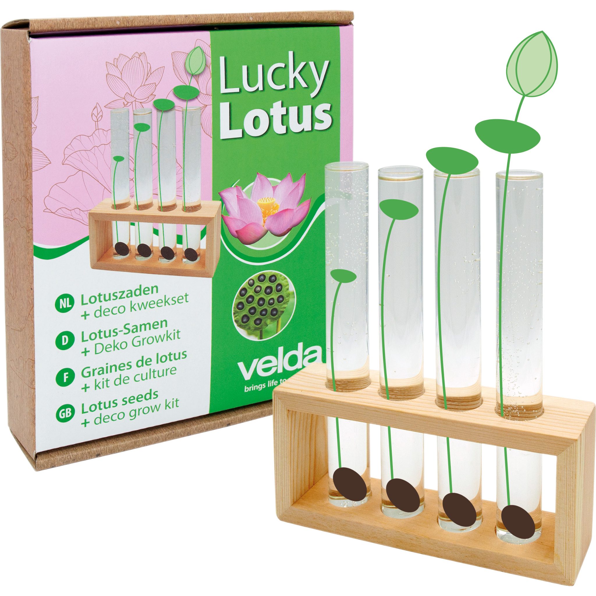 Lucky Lotus
