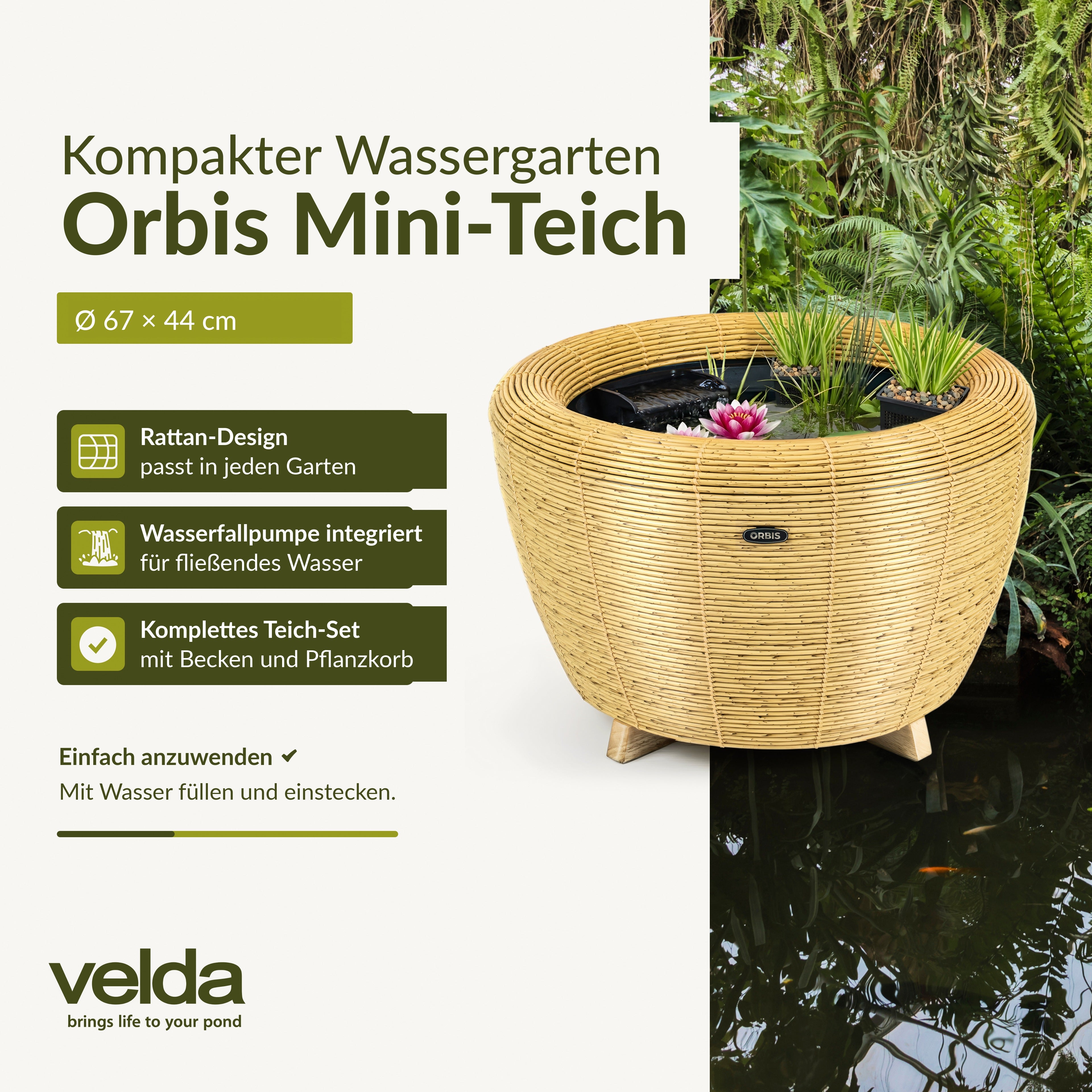 orbis-miniteich-info-1