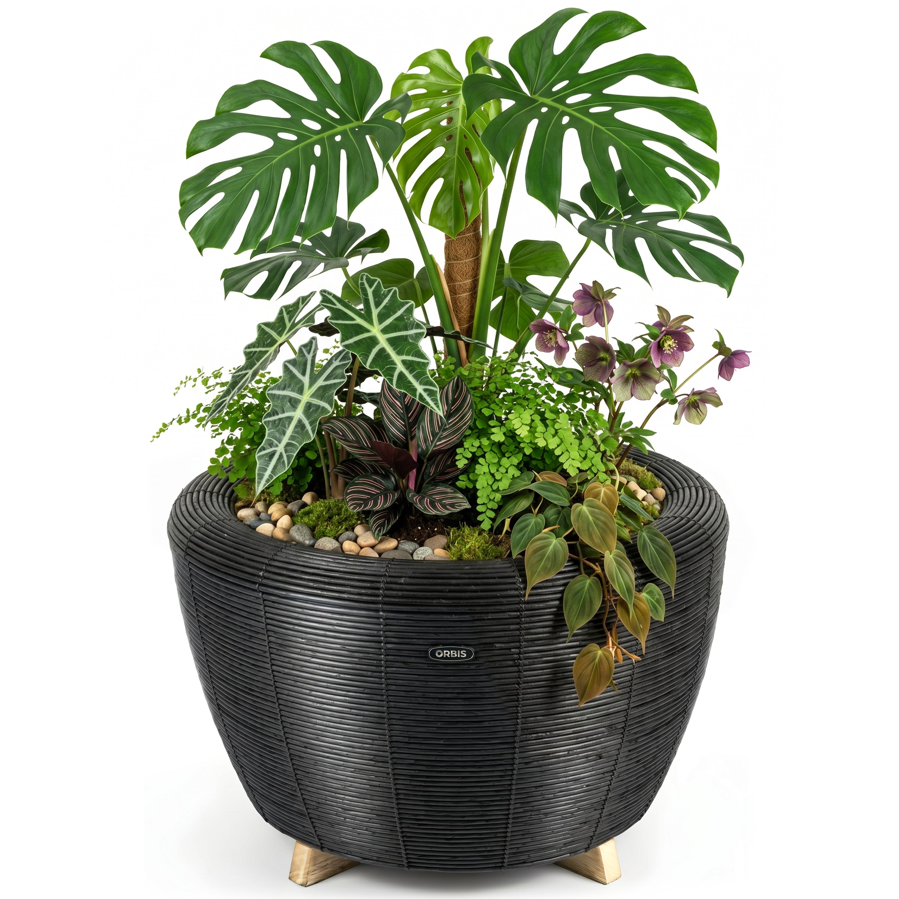 orbis-planter-anthrazit