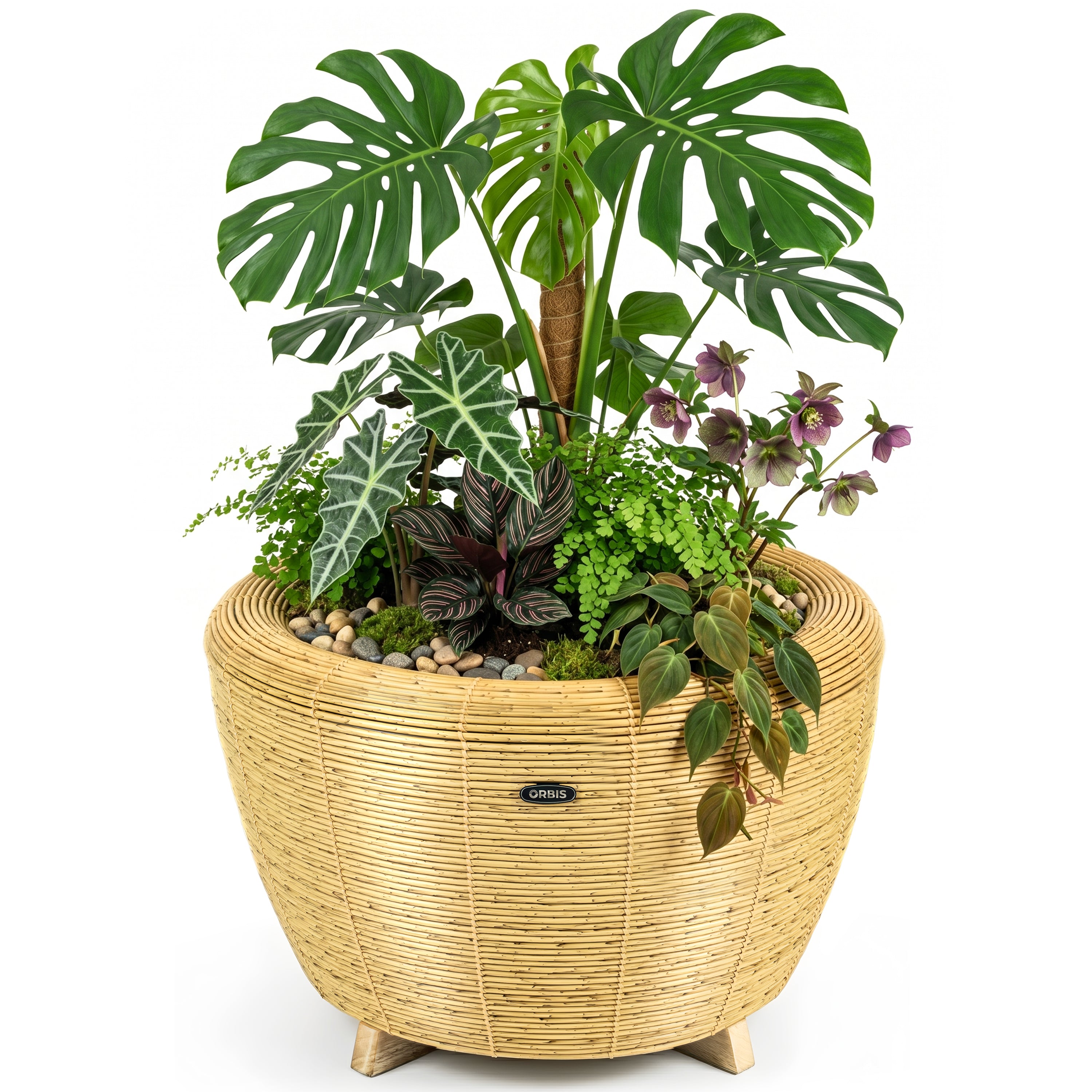 orbis-planter-natural