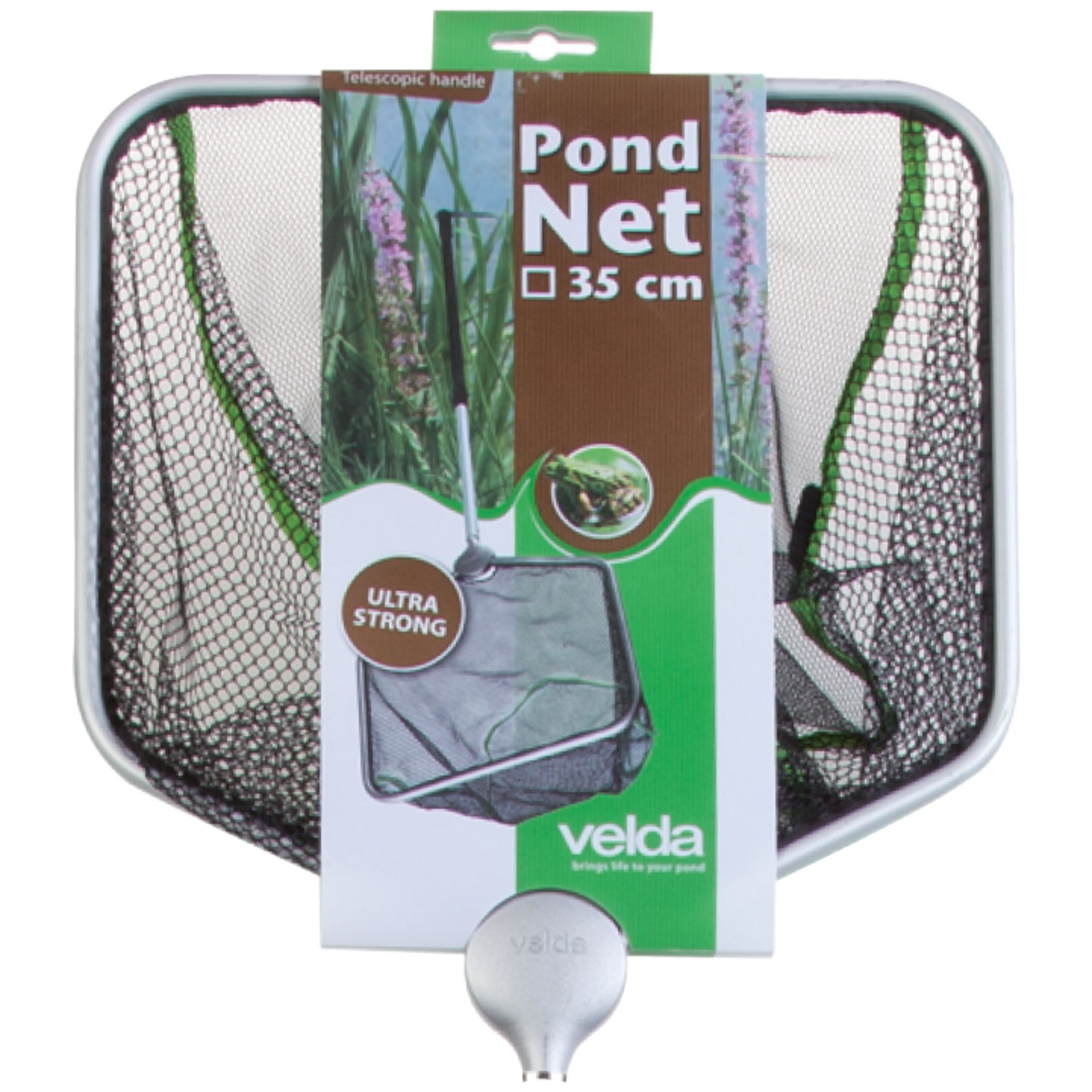 Pond Net Daphnia