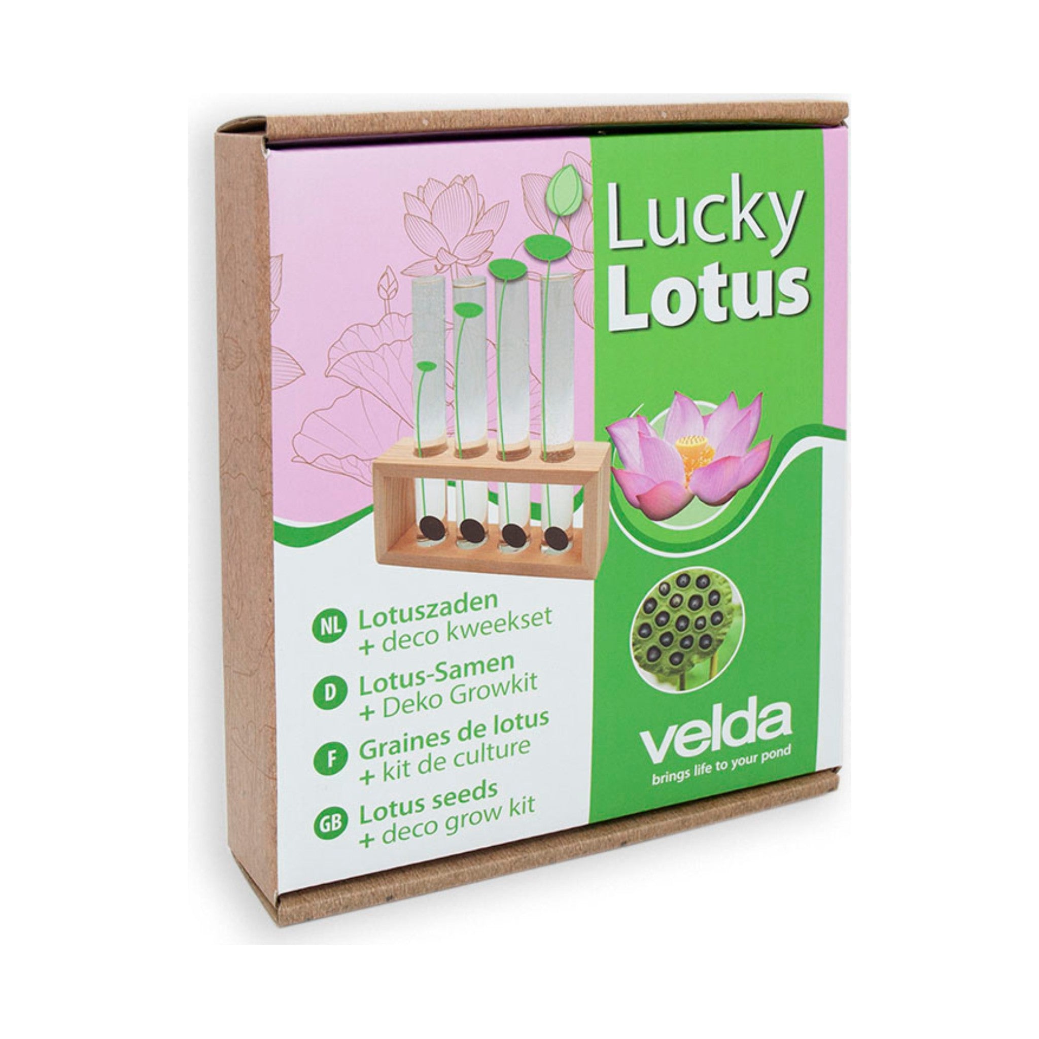 Lucky Lotus